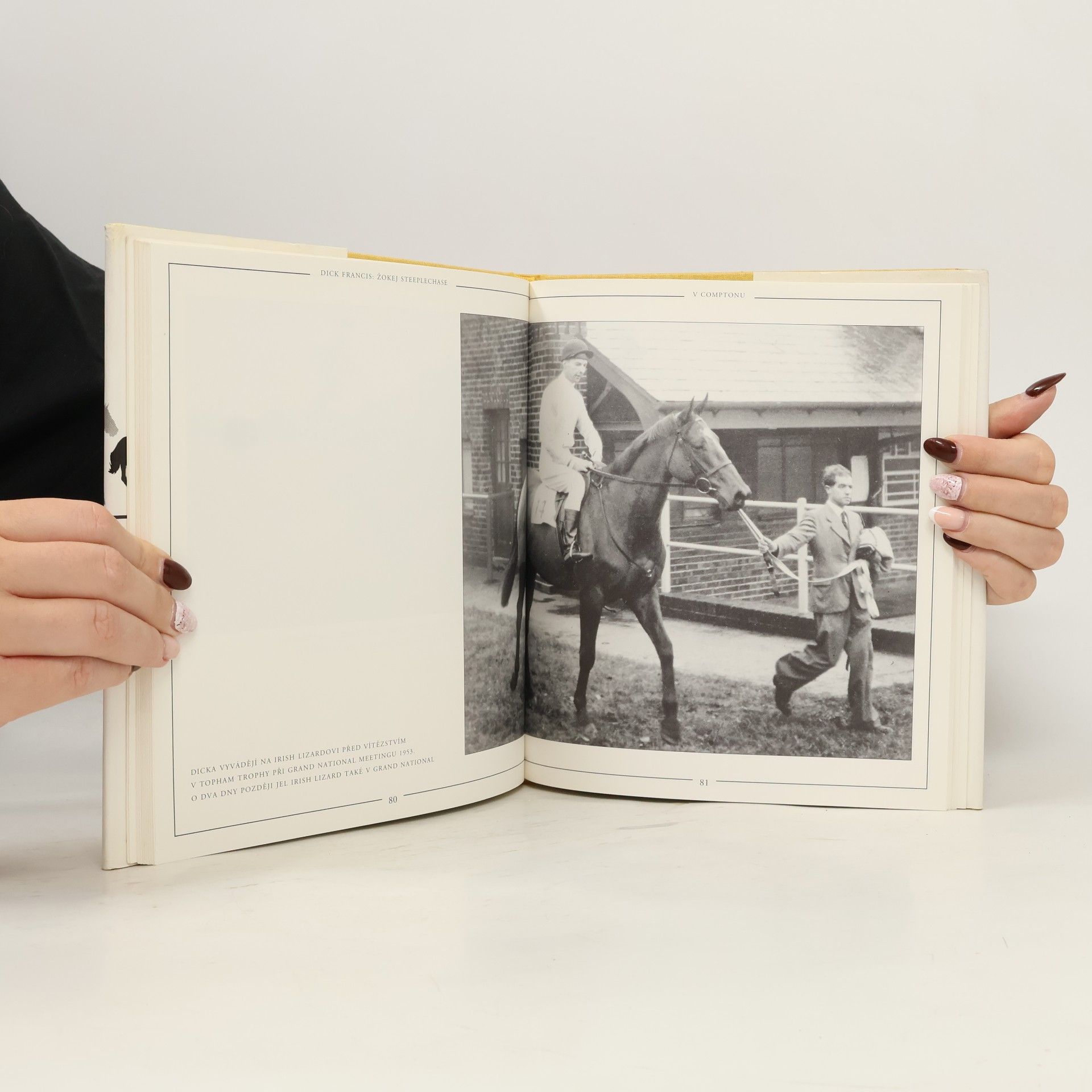 Bryony Fuller Dick Francis: žokej steeplechase