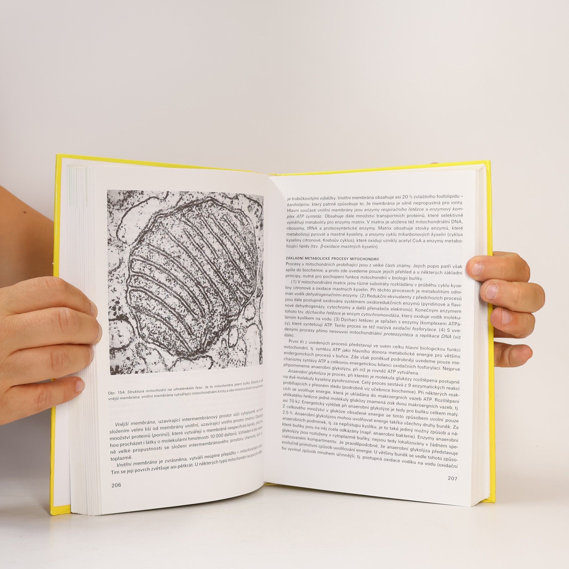 Oldřich Nečas Obecná biologie pro lékařské fakulty