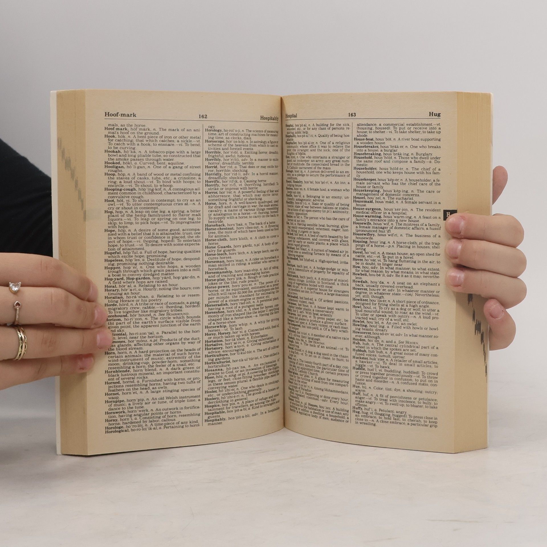 R. F. Petterson New Webster's Expanded Dictionary