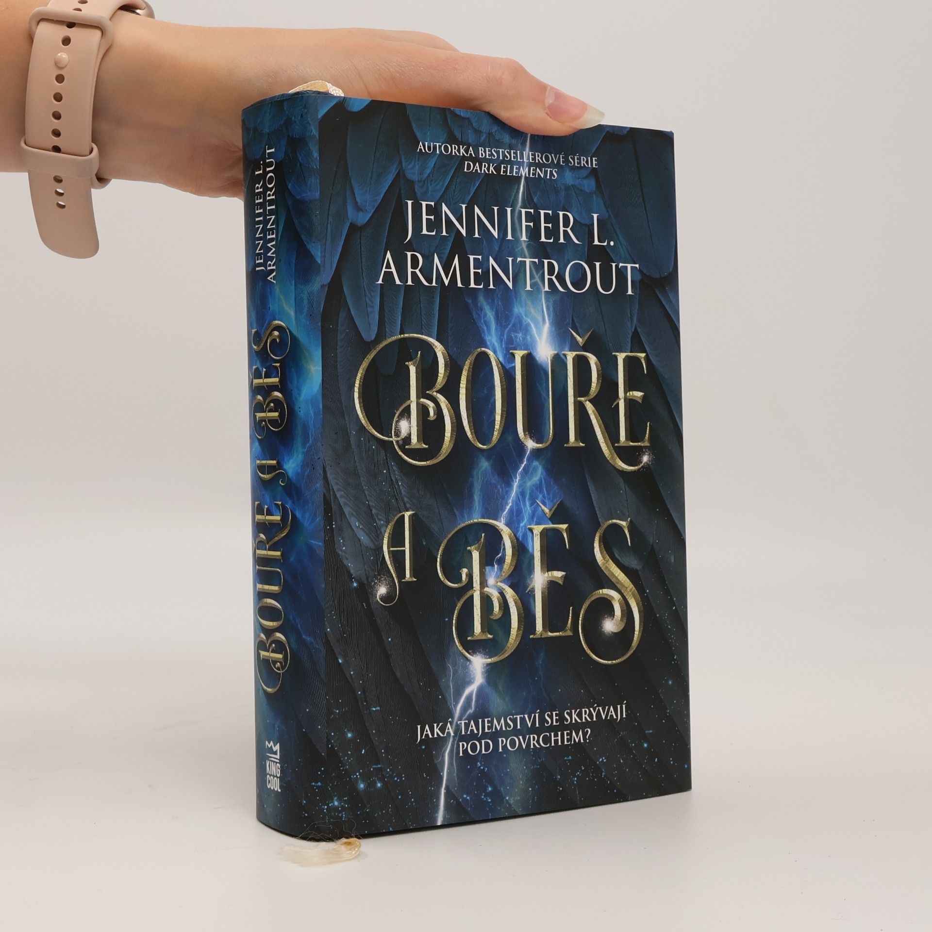 Jennifer L. Armentrout Bouře a běs