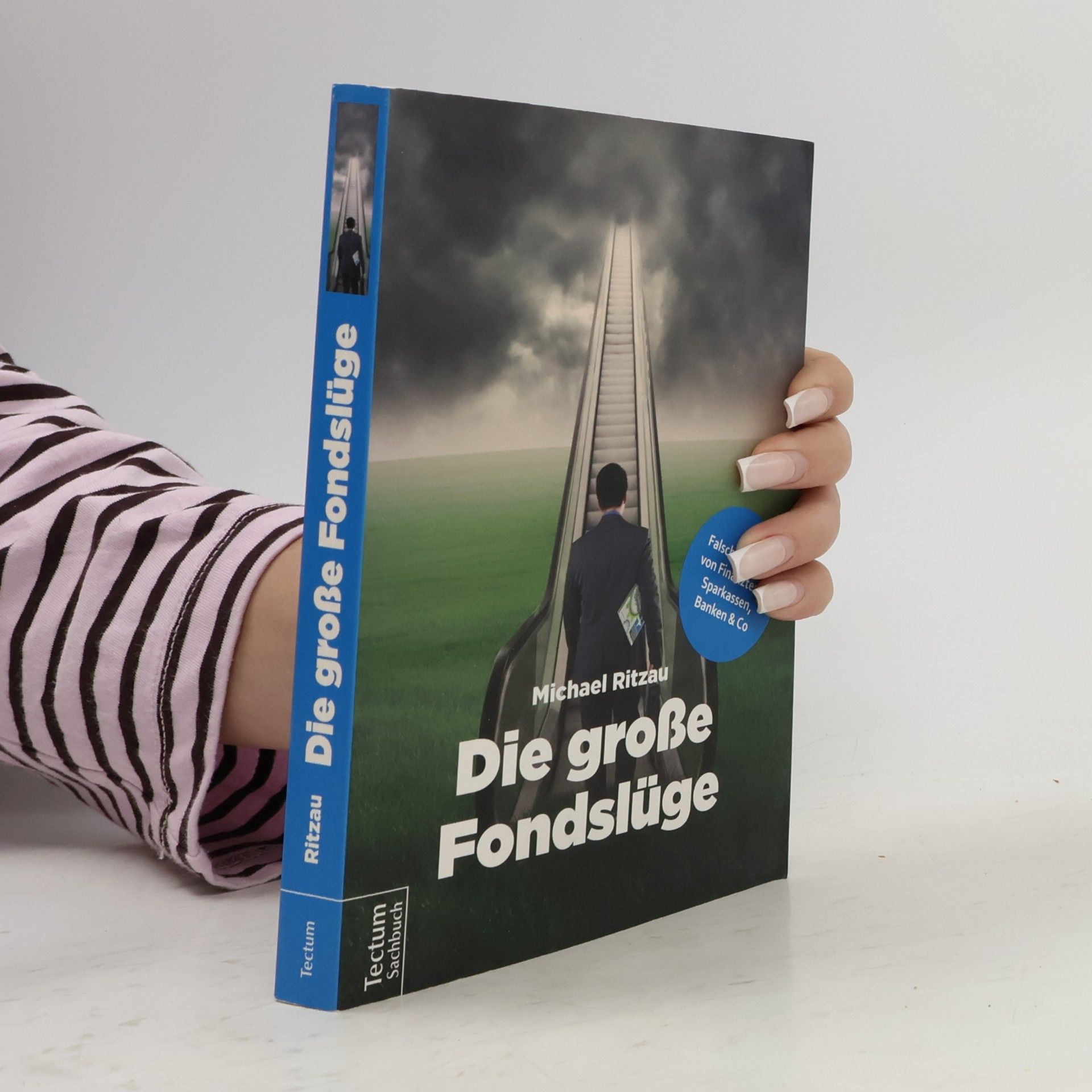 Michael Ritzau Die große Fondslüge