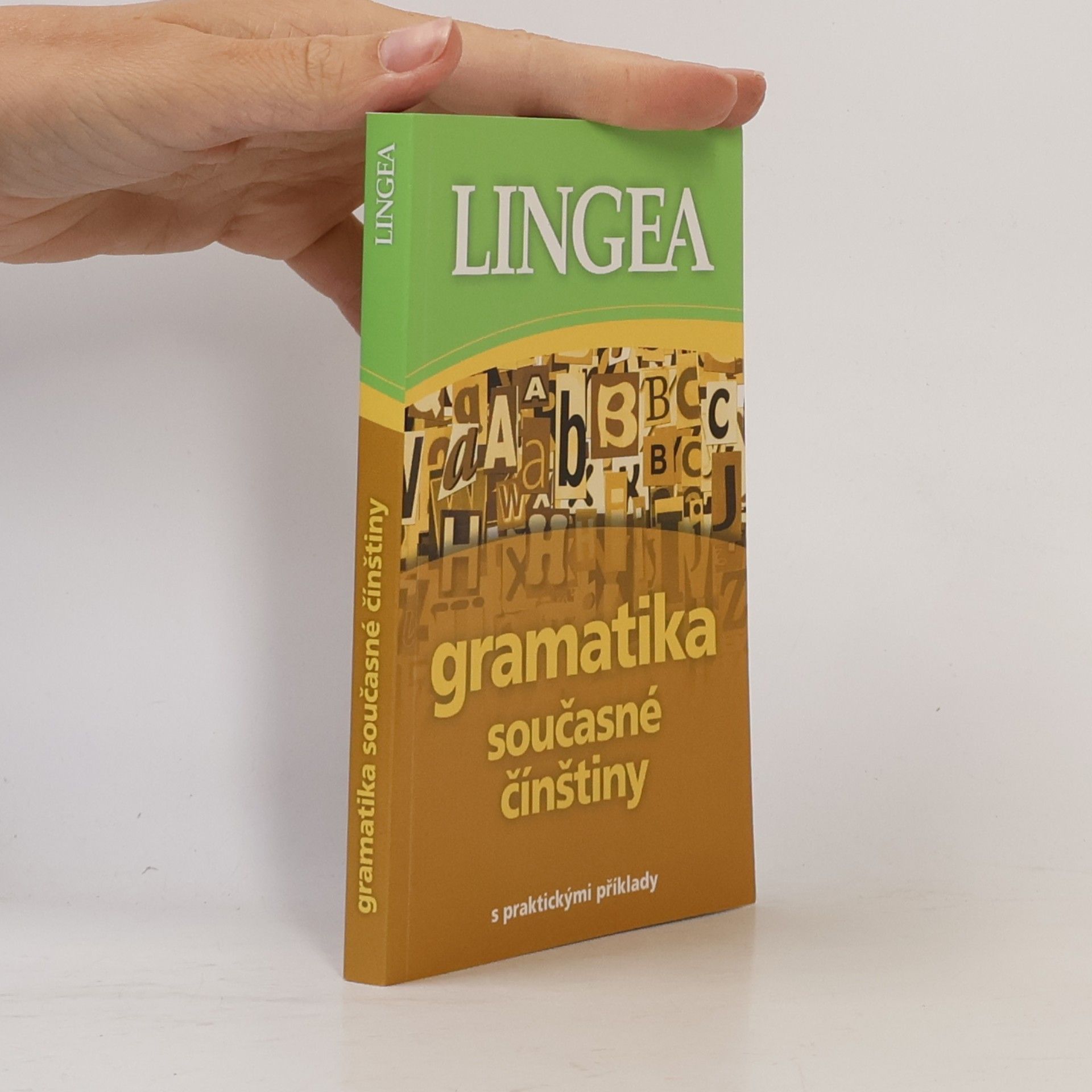 kolektiv Gramatika současné čínštiny