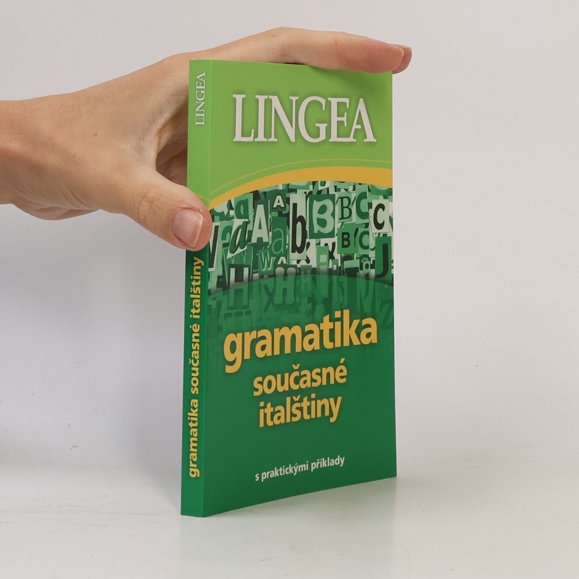 kolektiv Gramatika současné italštiny