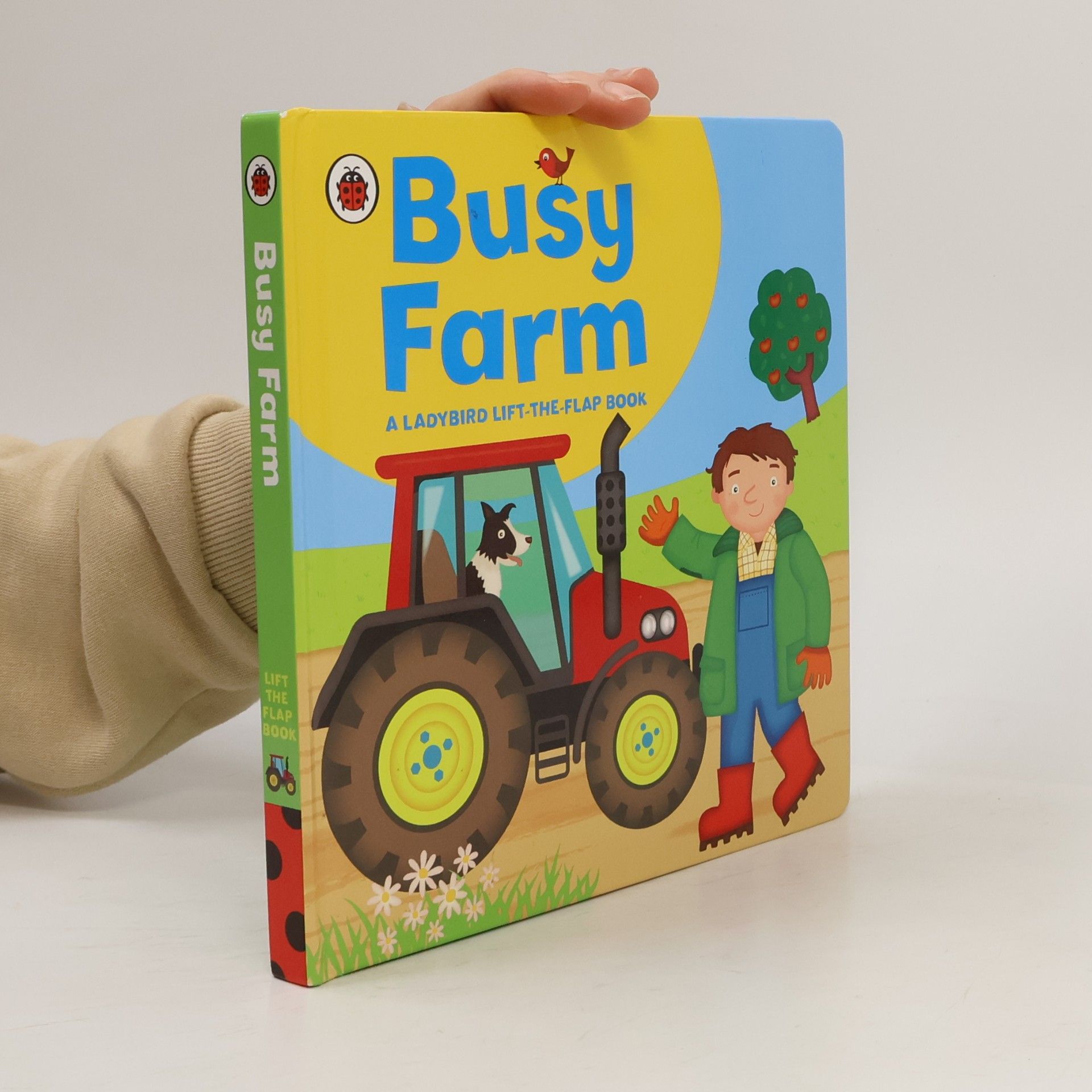 Amanda Archer Ladybird: Busy Farm