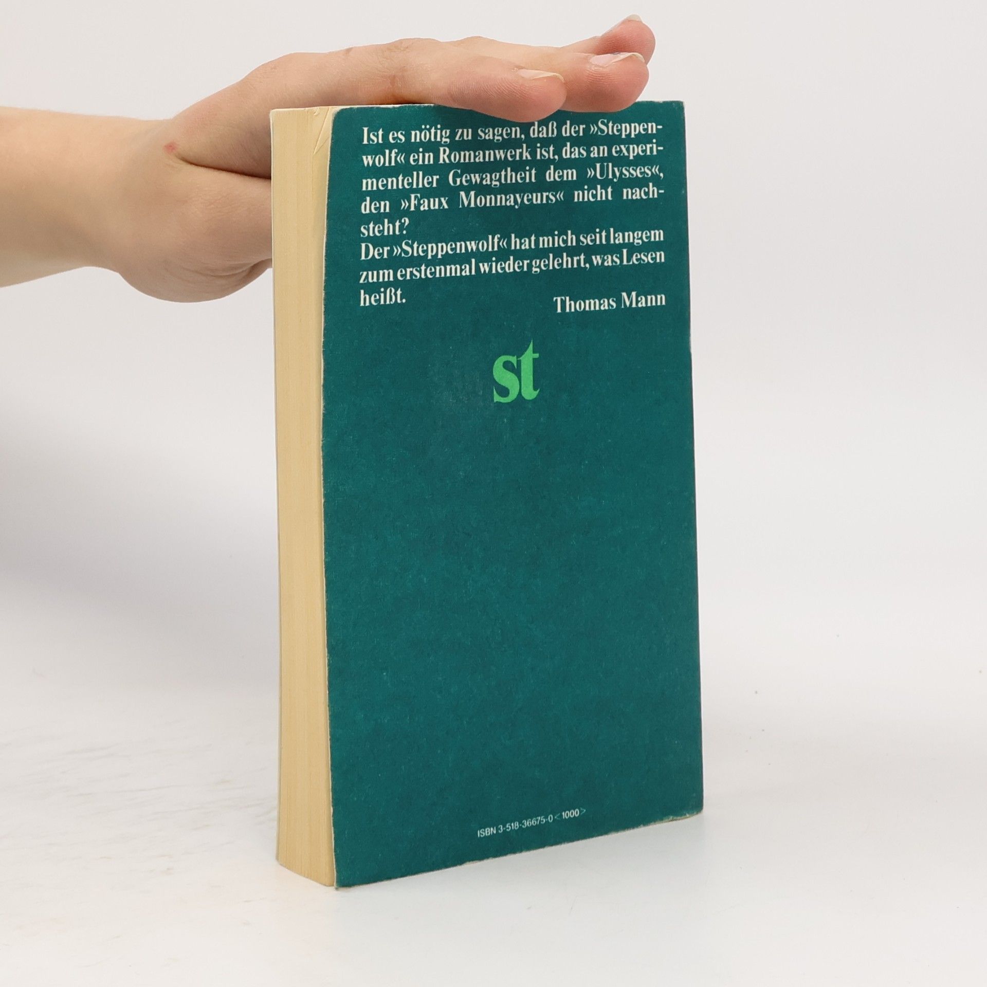 Hermann Hesse Der Steppenwolf
