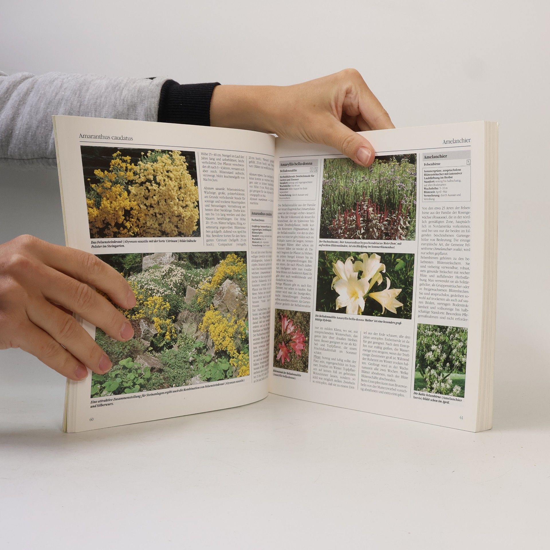 Kolektiv autorů Gartenlexikon 1