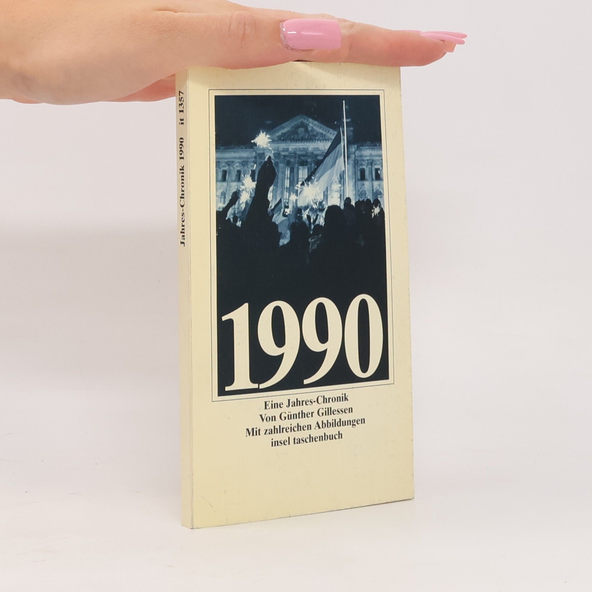 Günther Gillessen Insel Taschenbuch - 1357: 1990