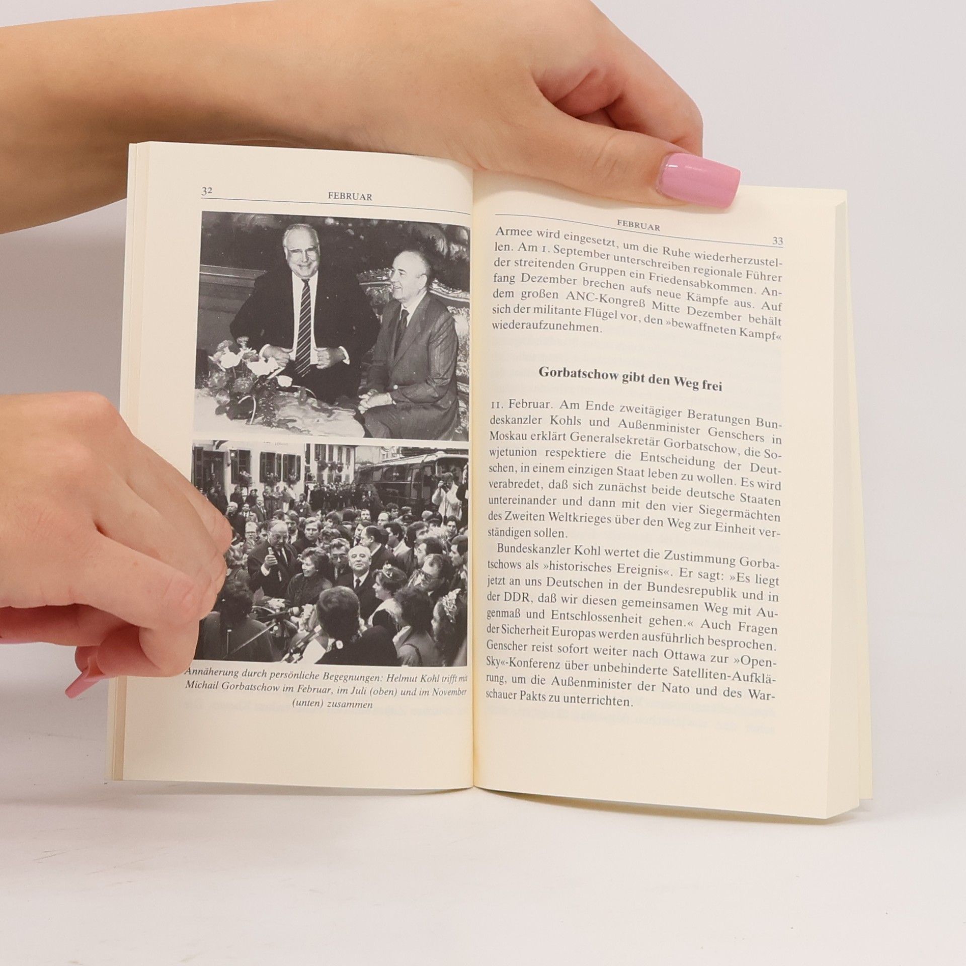 Günther Gillessen Insel Taschenbuch - 1357: 1990