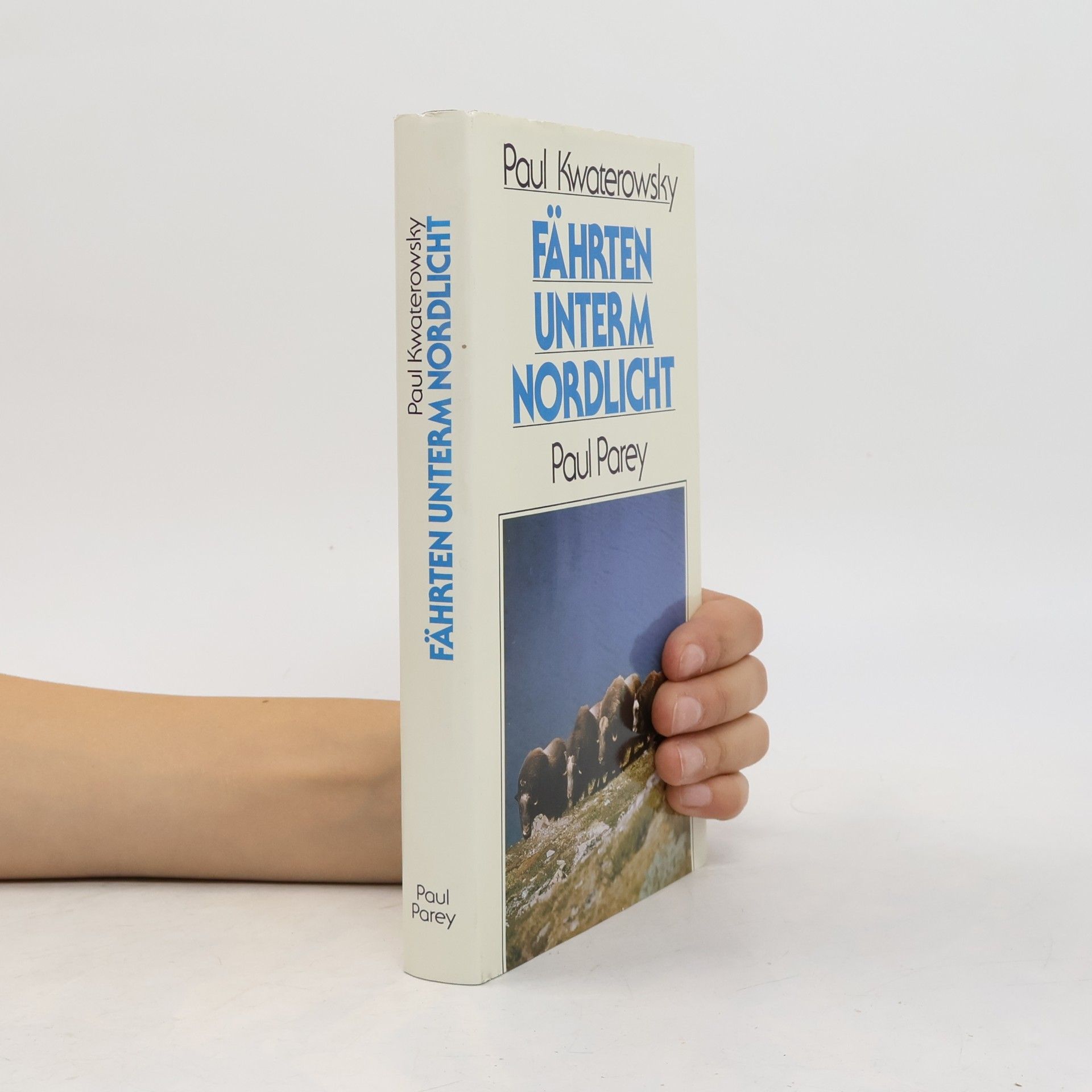 Paul Kwaterowsky Fährten unterm Nordlicht