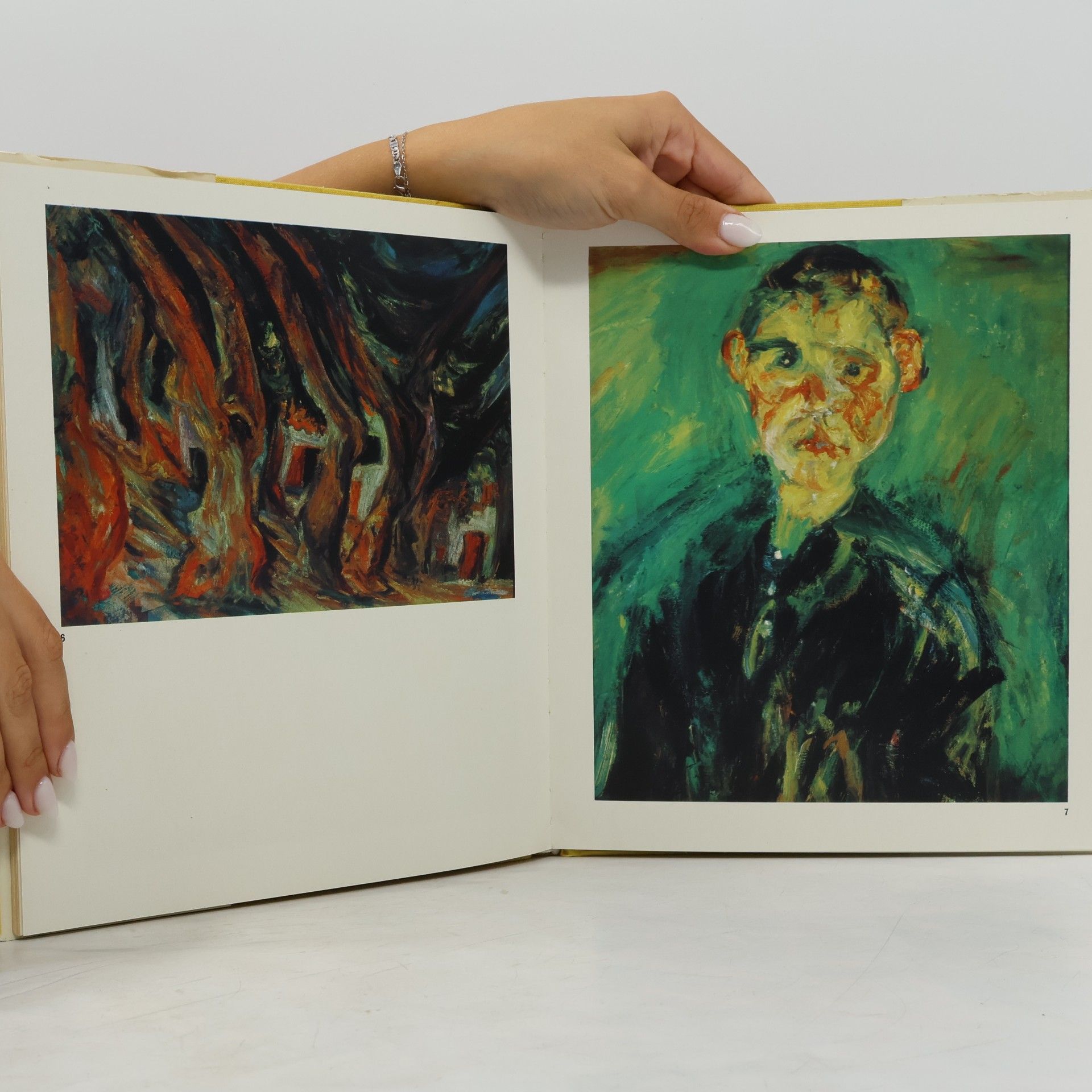 Andrew Forge Soutine