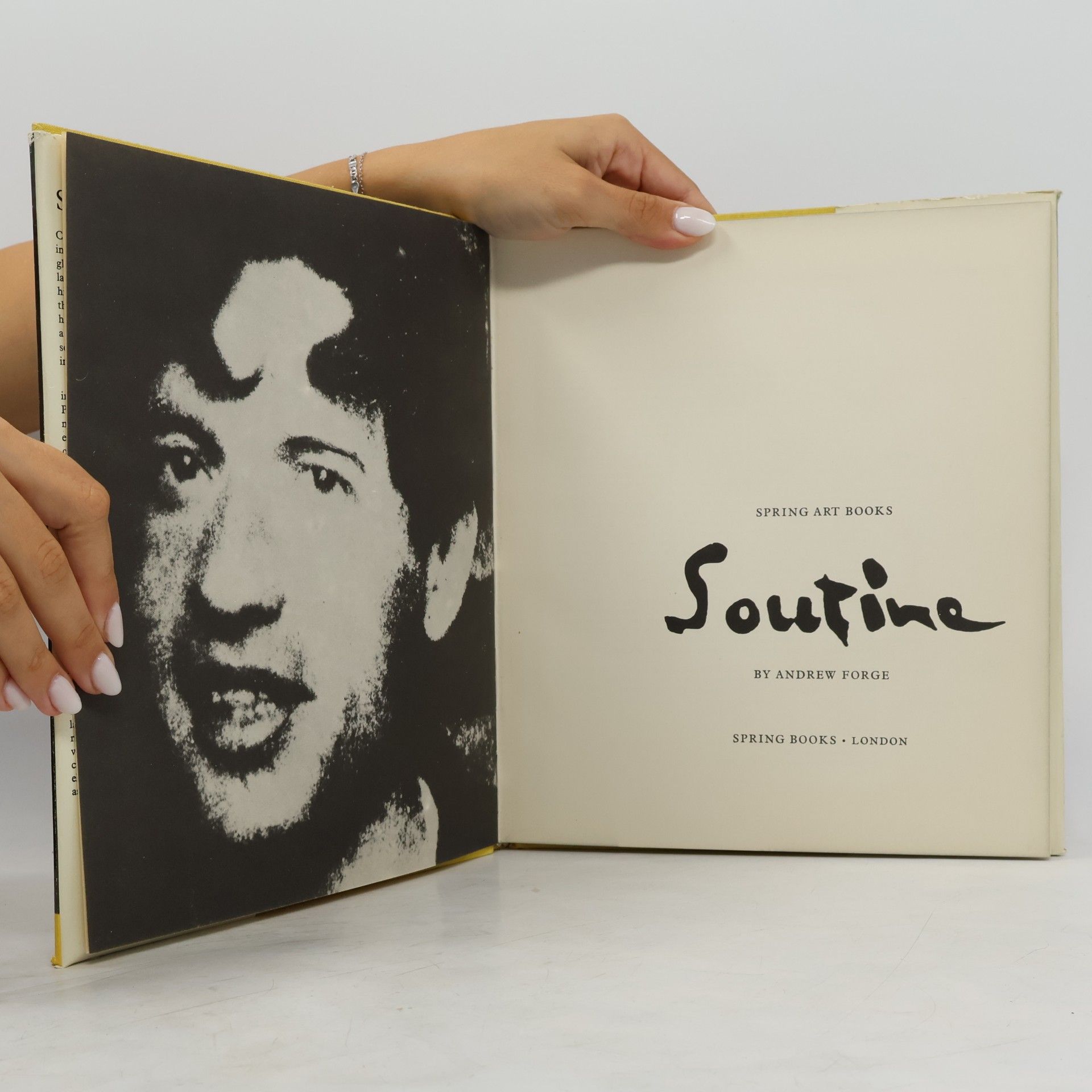 Andrew Forge Soutine