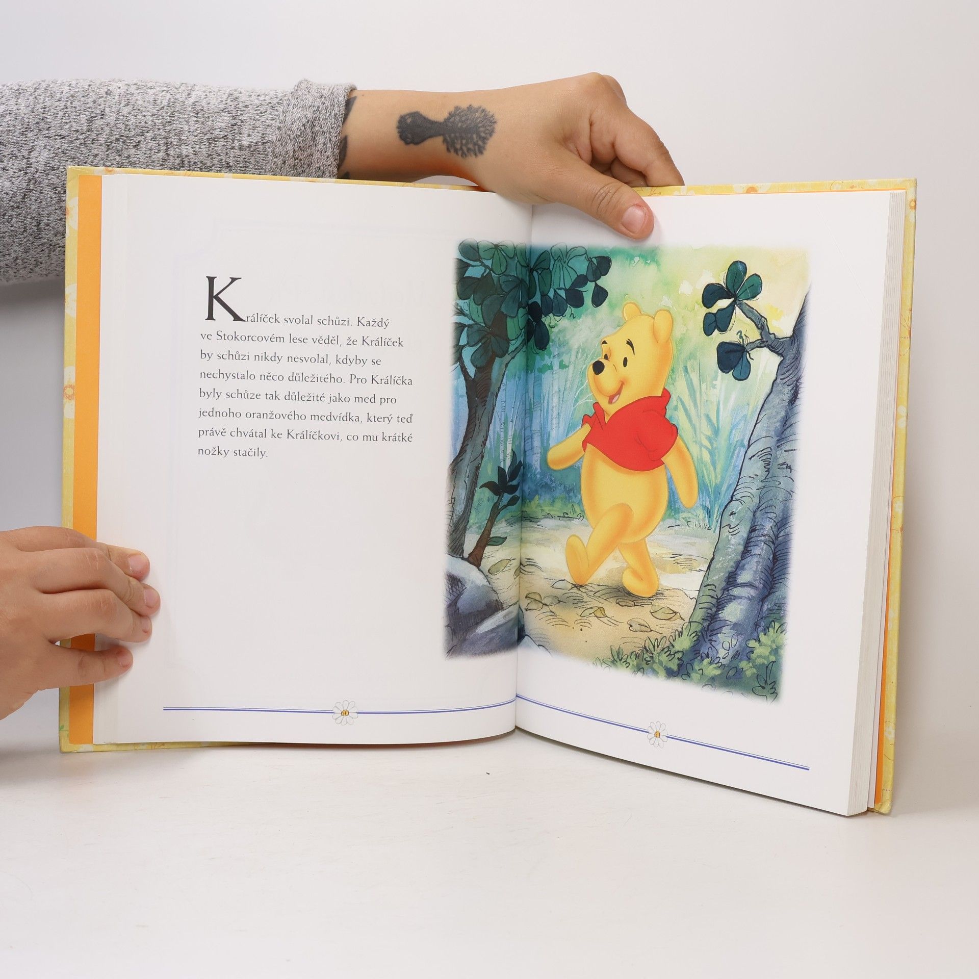 Walt Disney Medvídek Pú - Rok plný svátků s Medvídkem Pú