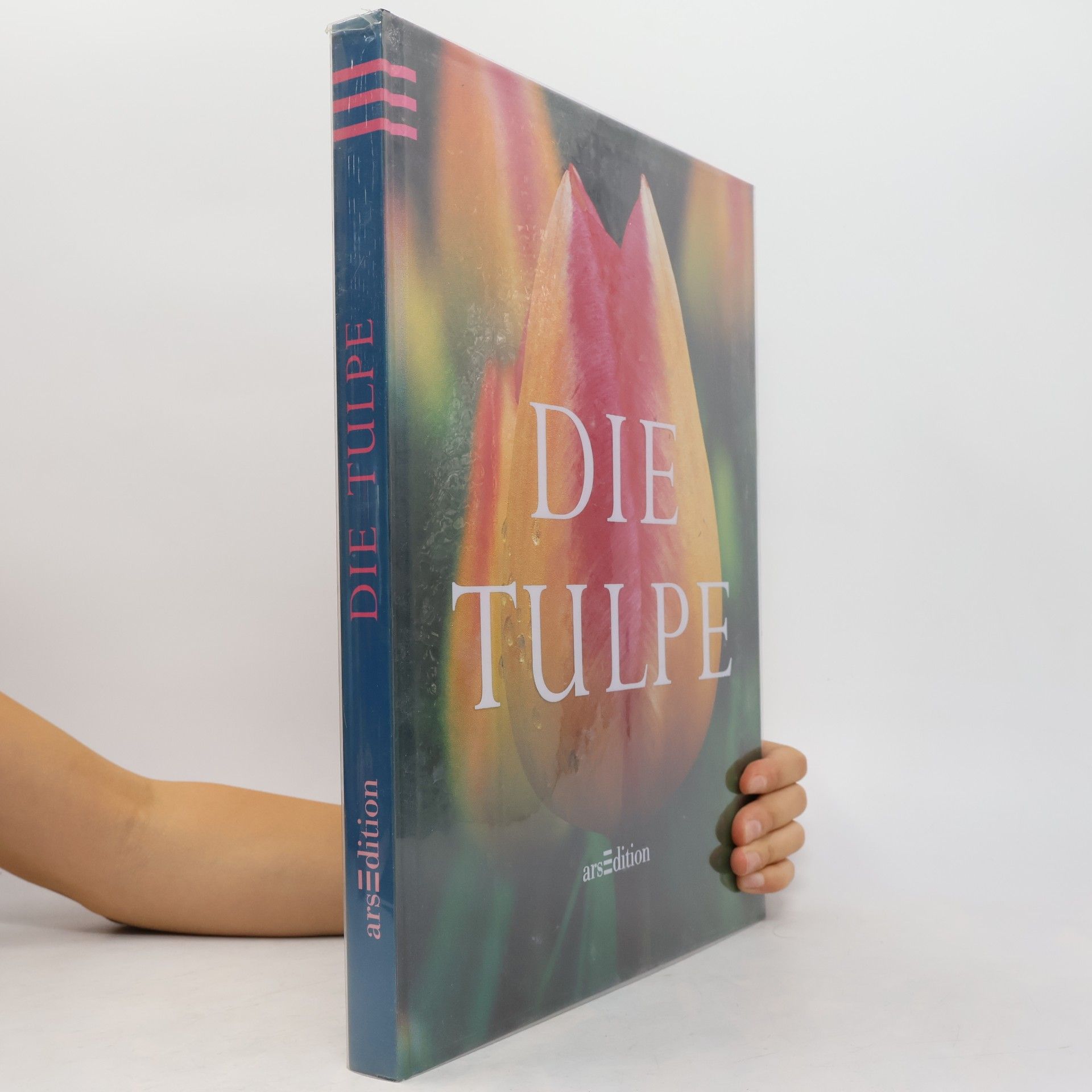 Autorenkollektiv Die Tulpe