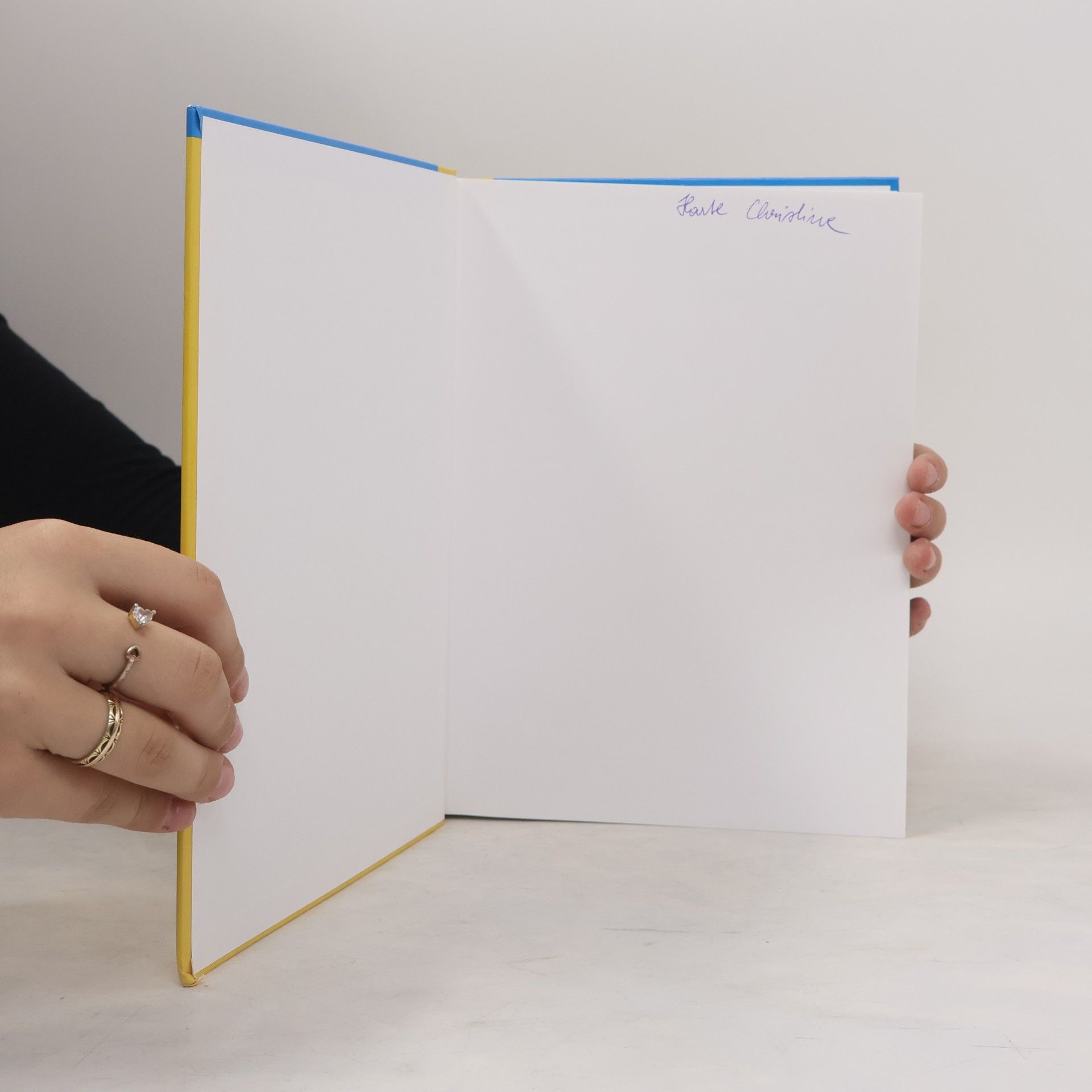 Regina Brinkmann-Göbel Handbuch für Gesundheitsberater