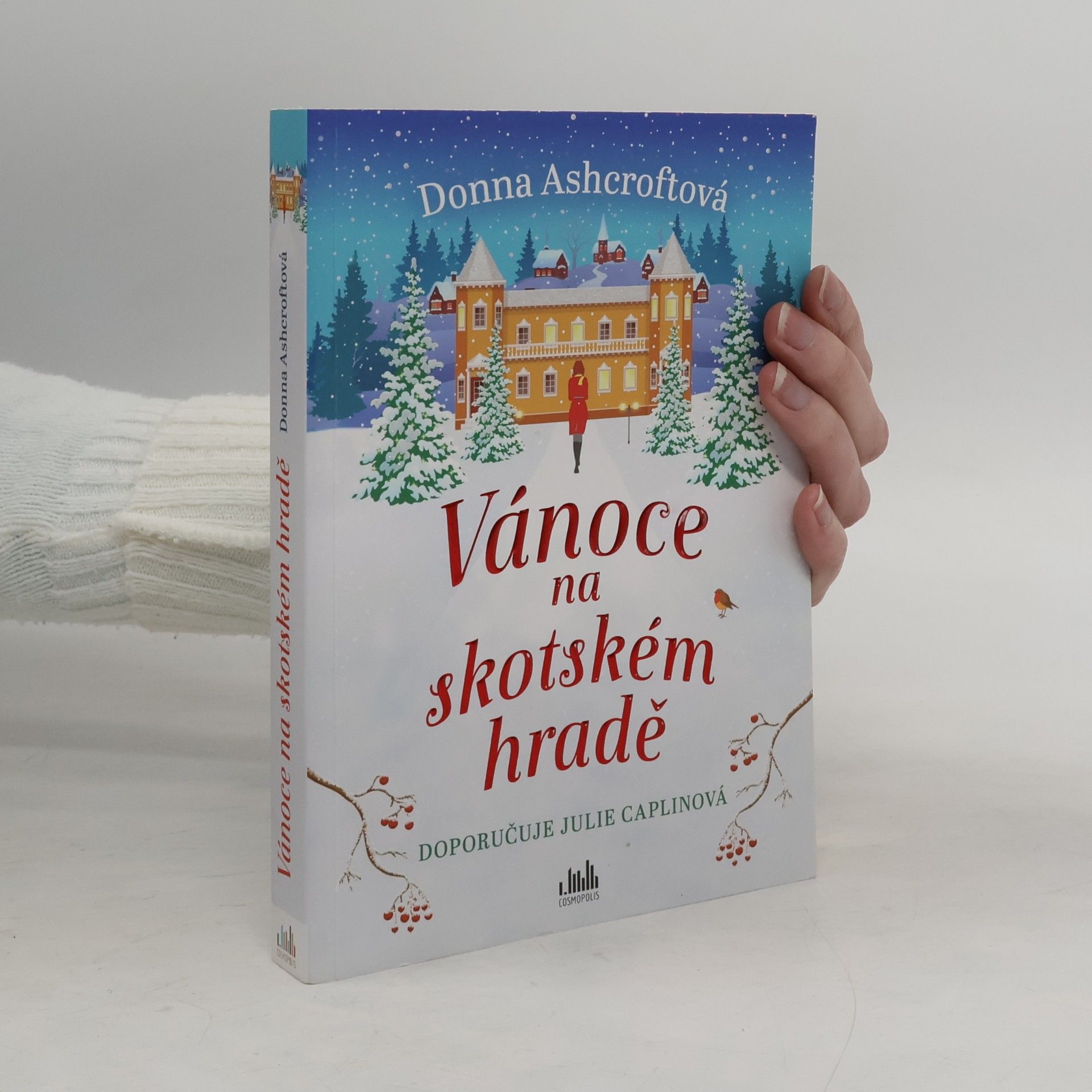 Donna Ashcroft Vánoce na skotském hradě