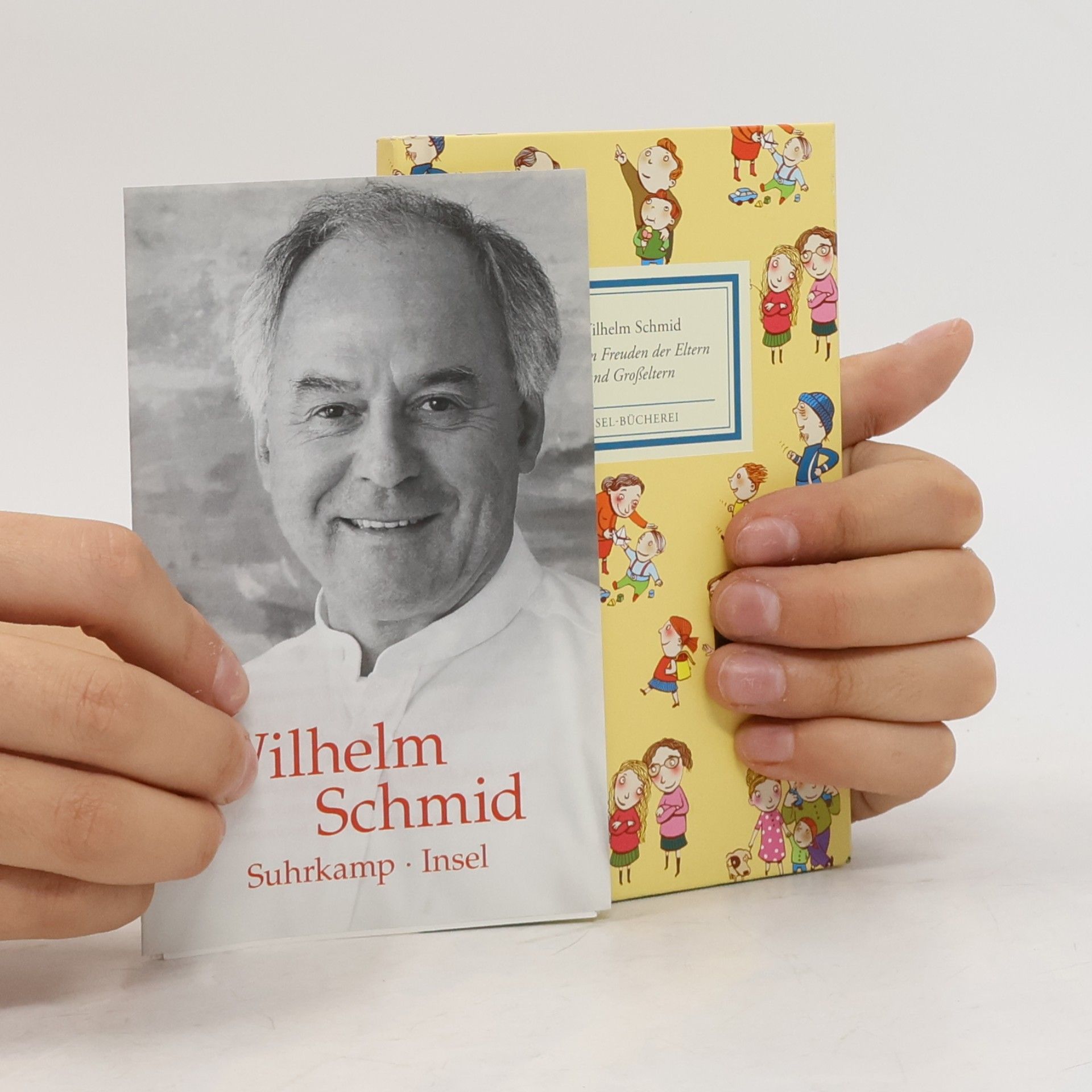 Wilhelm Schmid Von den Freuden