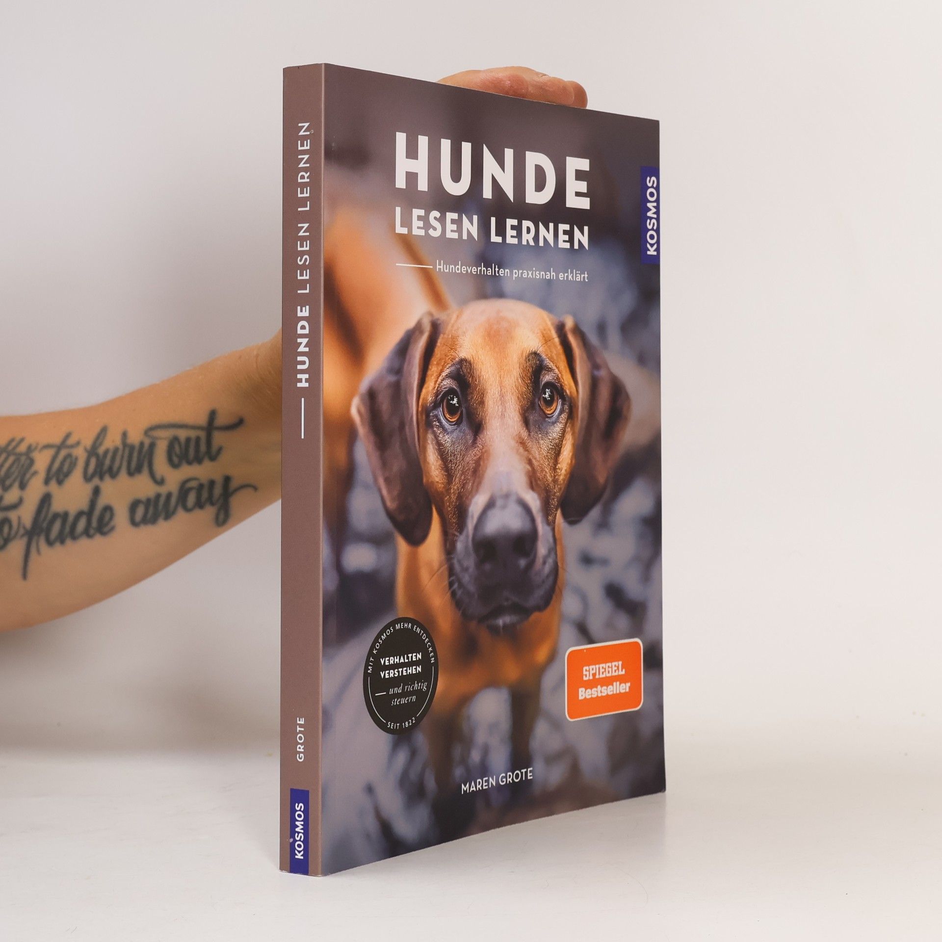 Maren Grote Hunde lesen lernen
