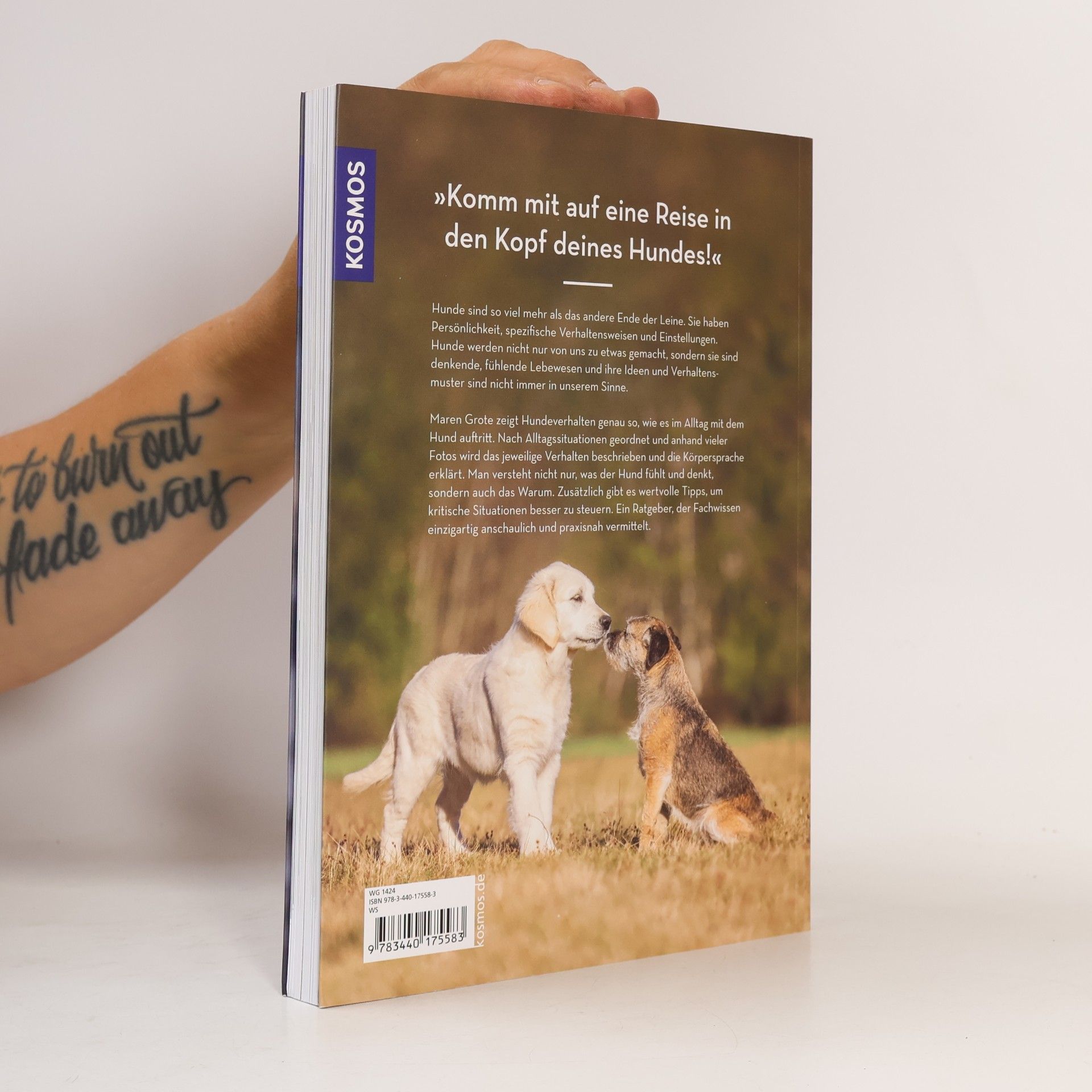 Maren Grote Hunde lesen lernen