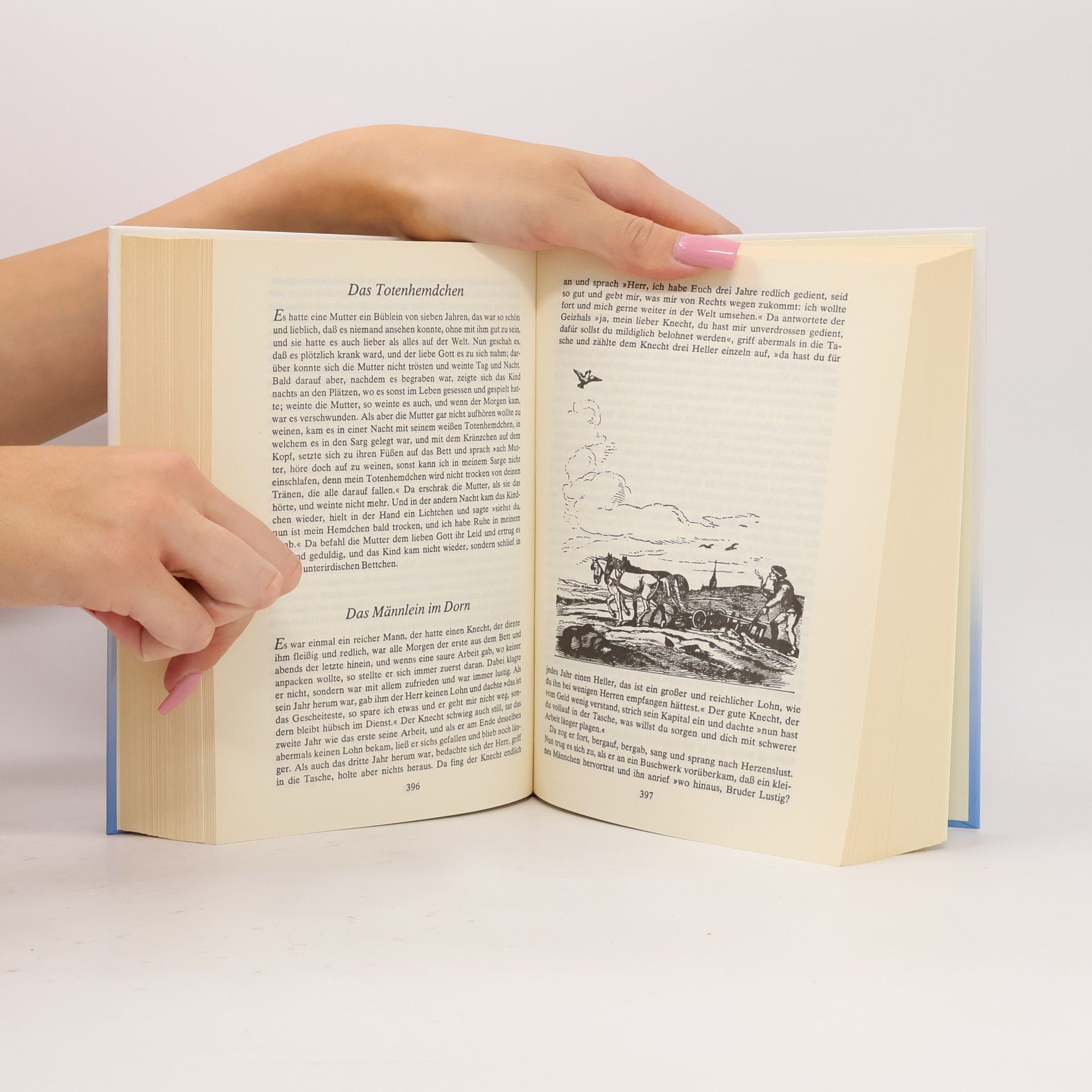 Jacob Grimm Märchen der Brüder Grimm Gesamtausgabe