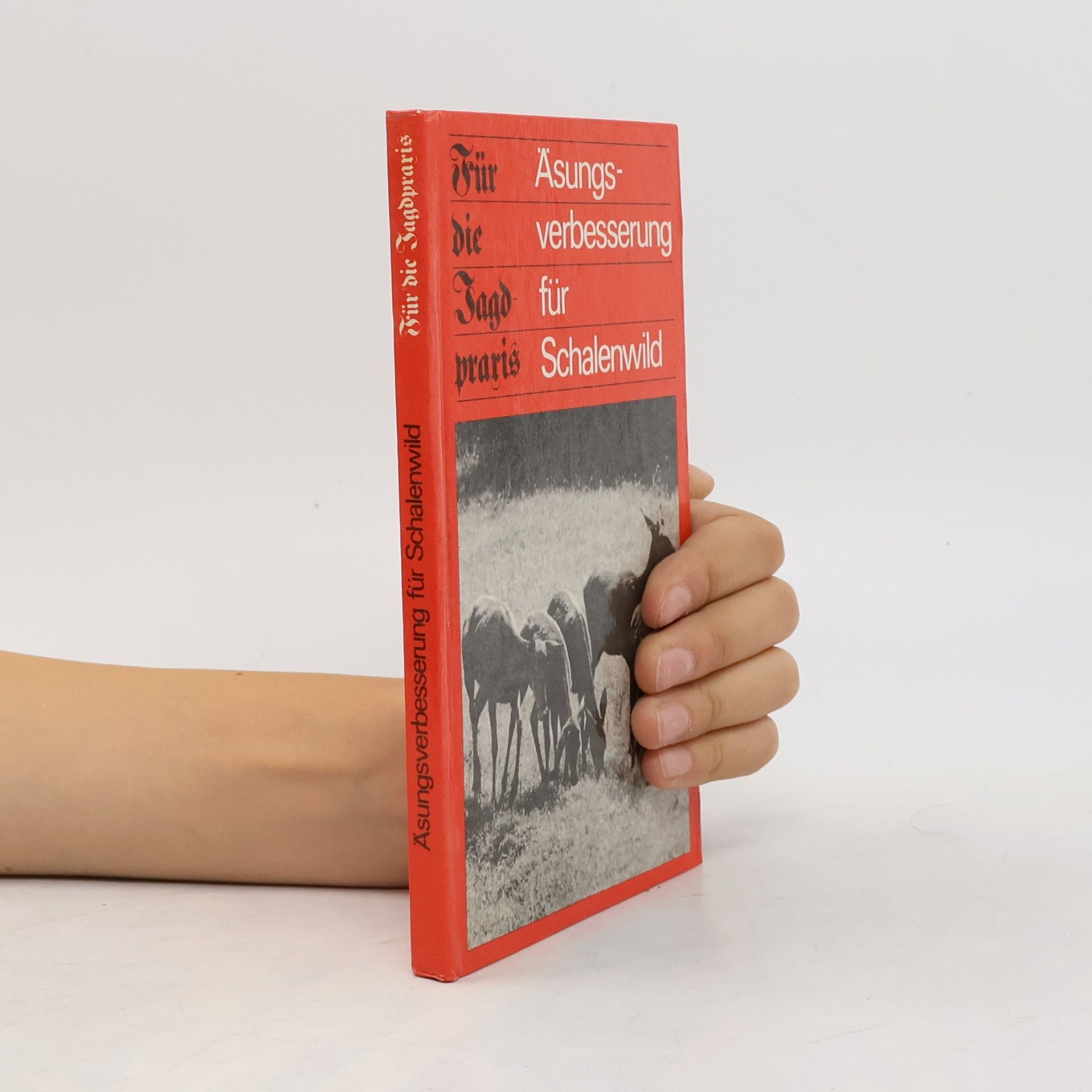 Autorenkollektiv Äsungsverbesserung für Schalenwild