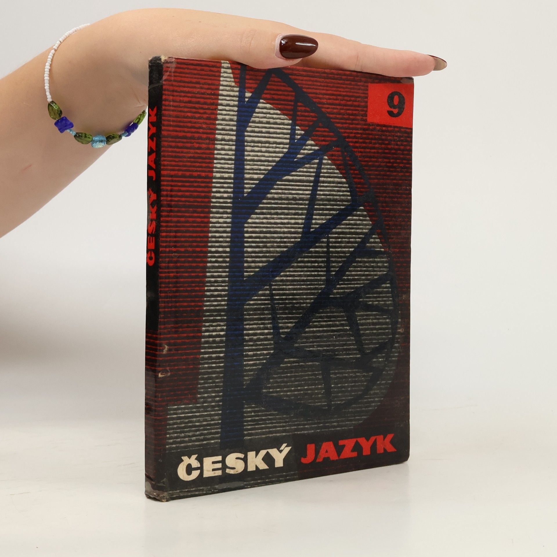 Český jazyk pro devátý ročník
