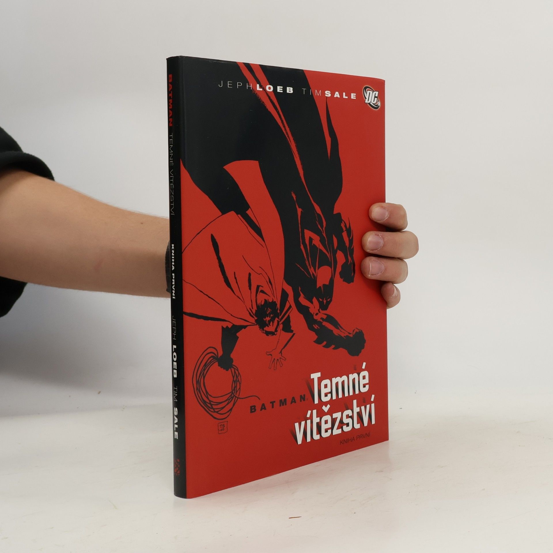 Jeph Loeb Batman: Temné vítězství. Kniha první