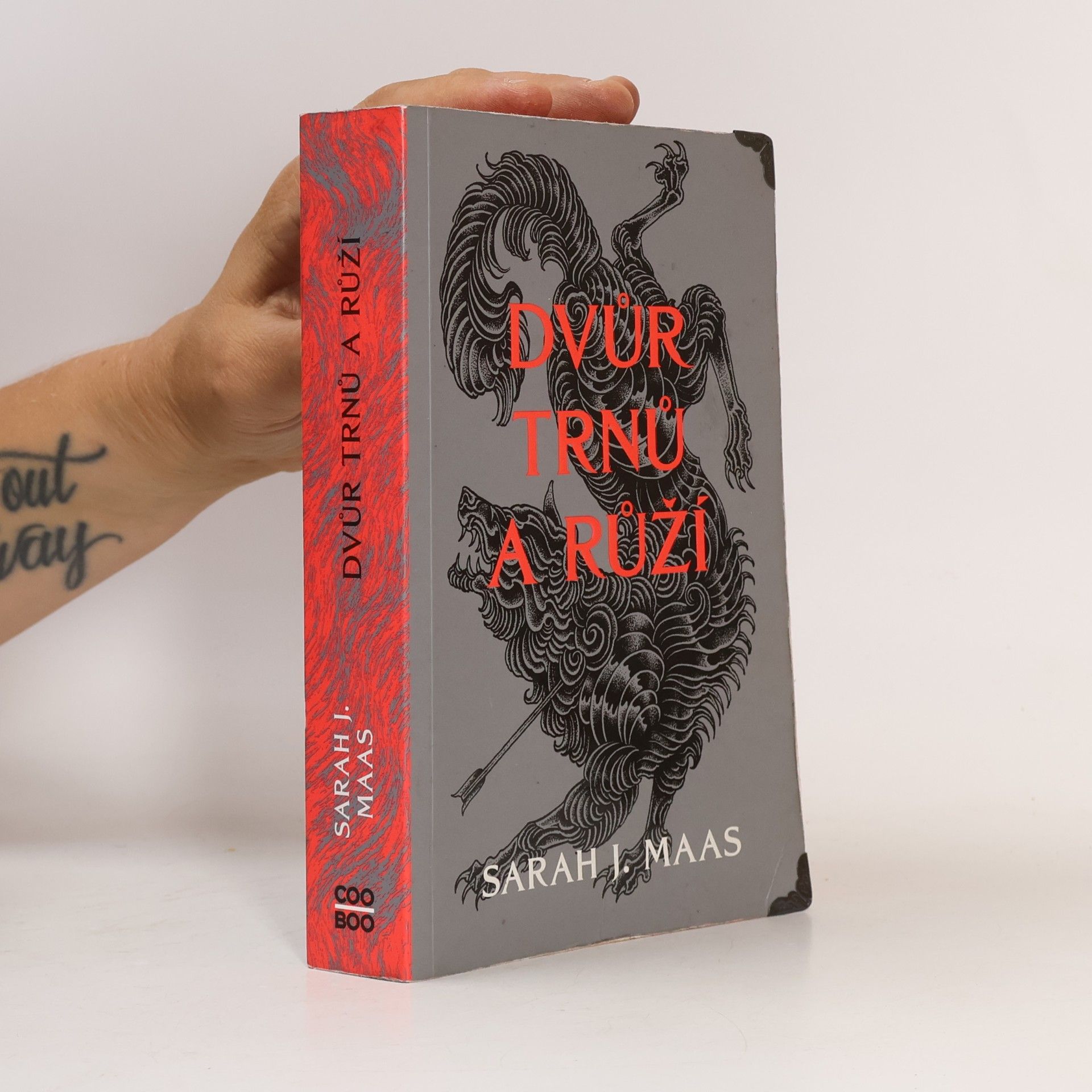 Sarah J. Maas Dvůr trnů a růží