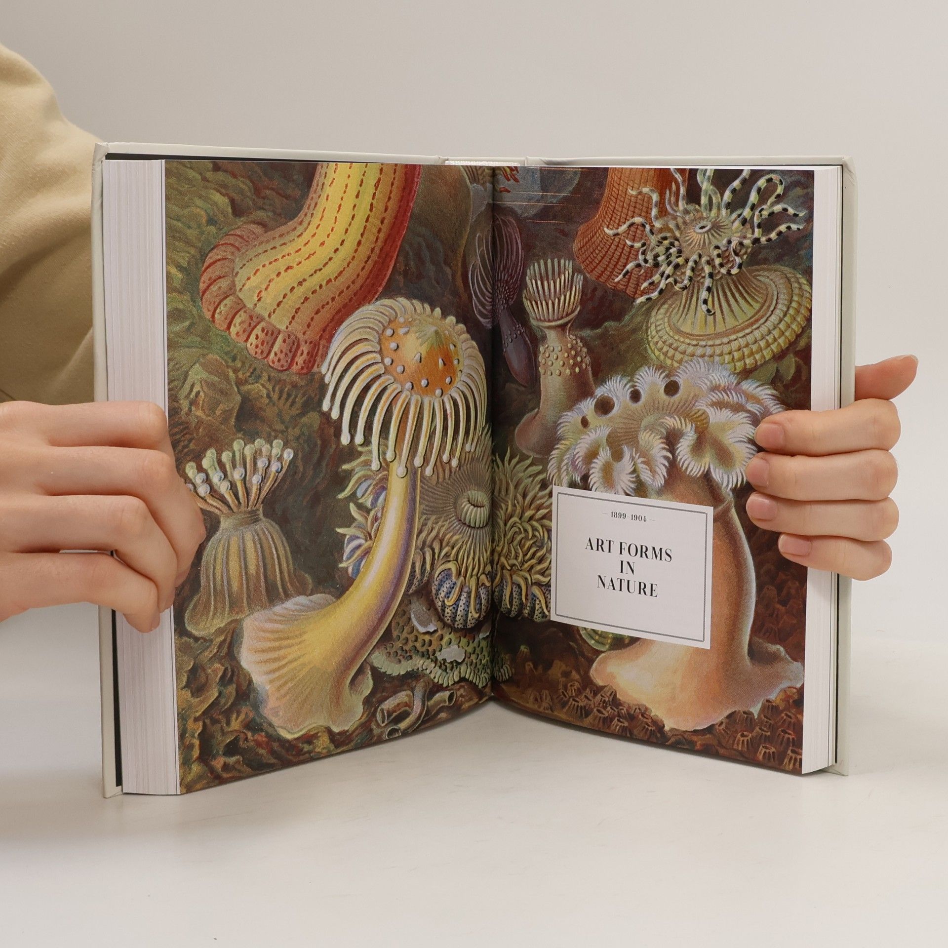 Ernst Haeckel The art and science of Ernst Haeckel