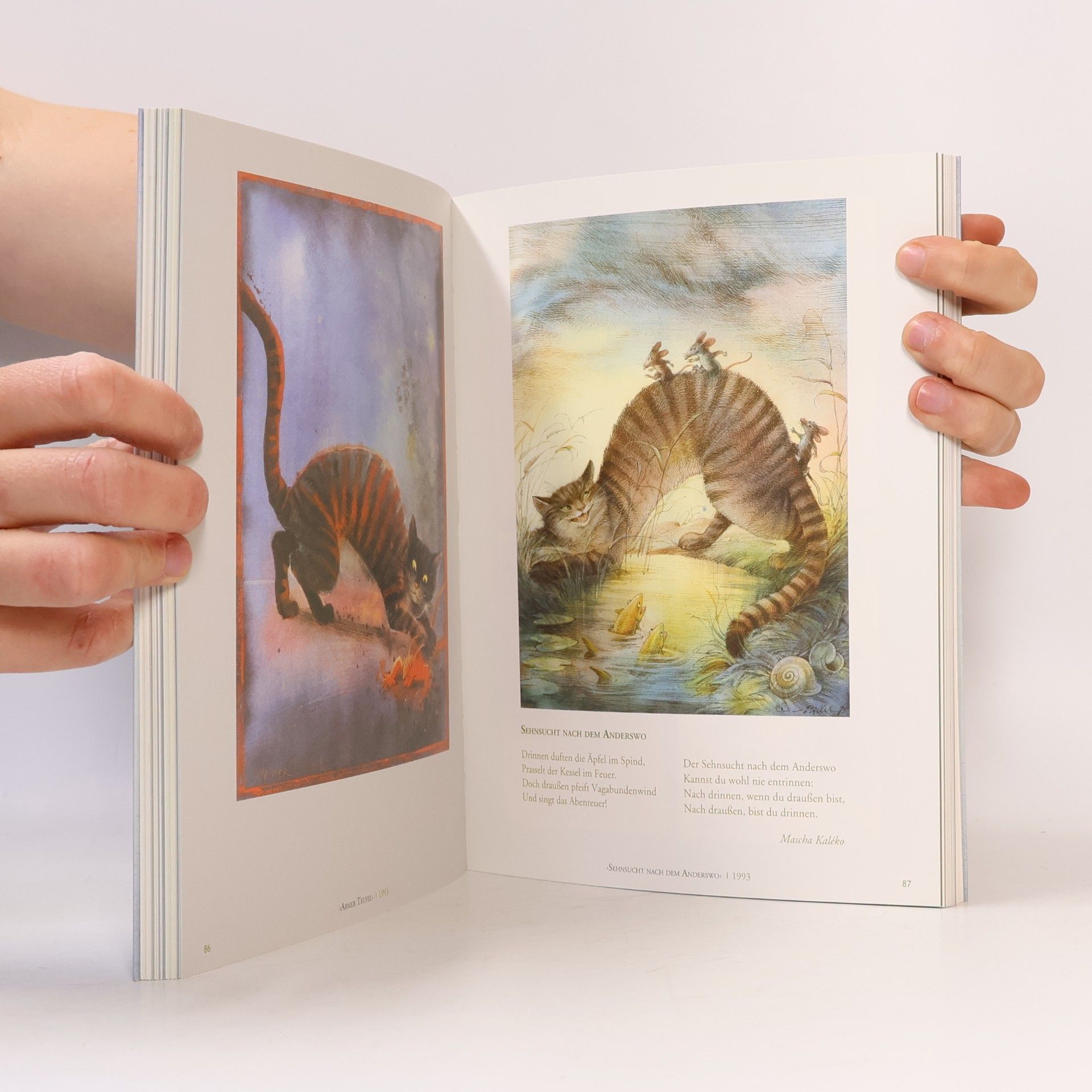 Reinhard Michl Bilder Buch Leben