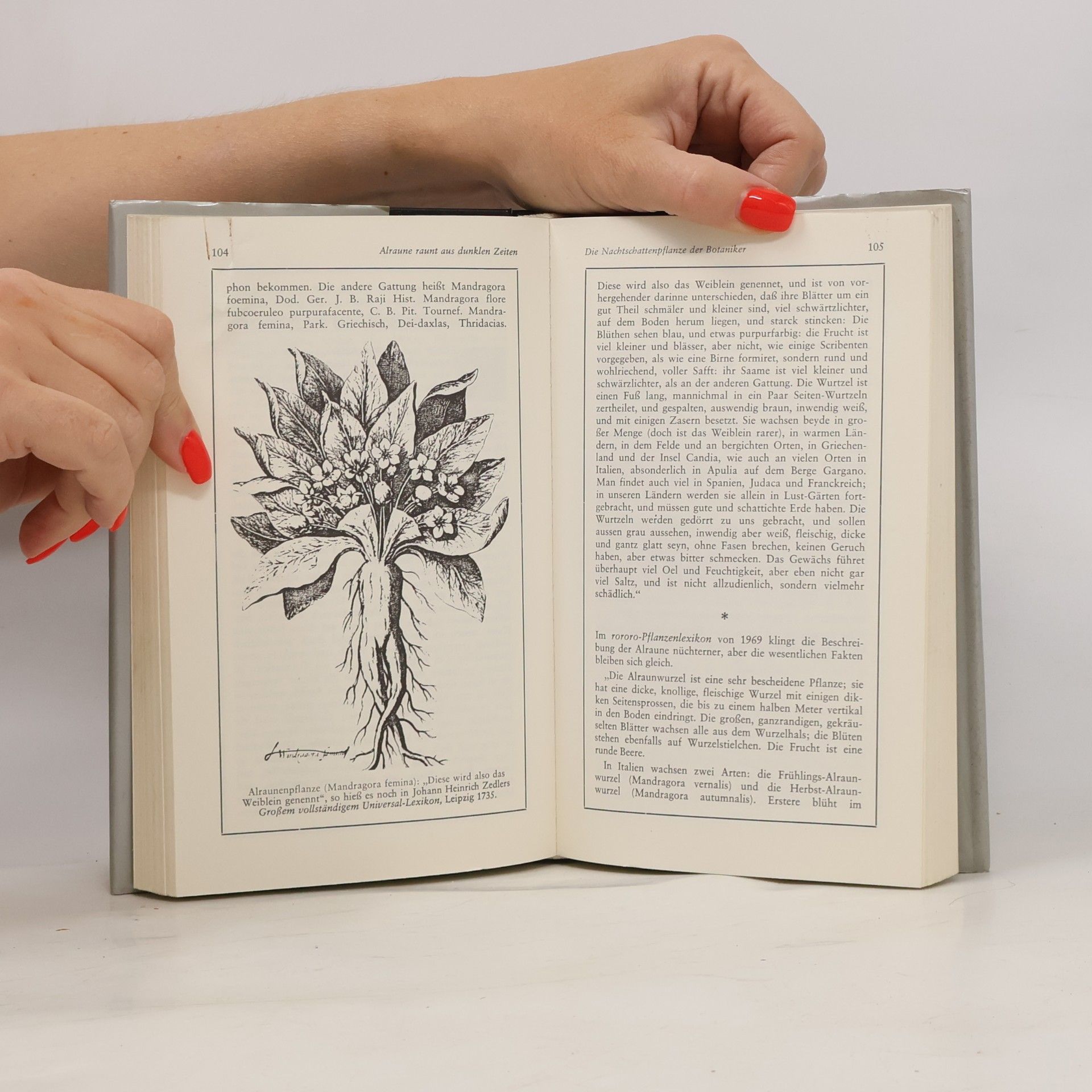 Marie-Luise Kreuter Wunderkräfte der Natur