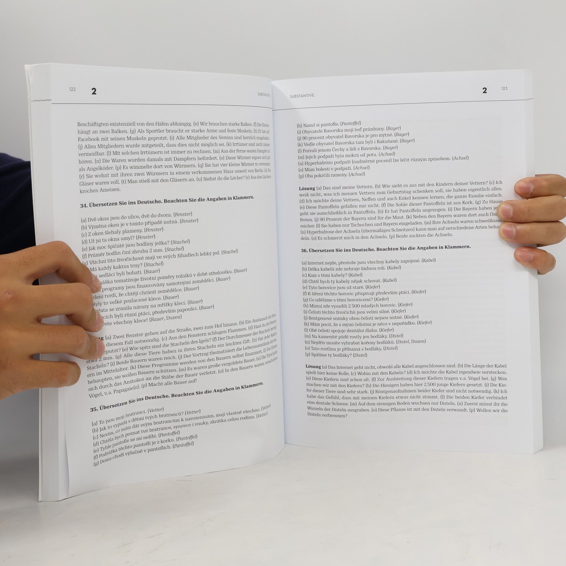 Martin Šemelík Deutsche Grammatik : Ein Übungsbuch für Fortgeschrittene