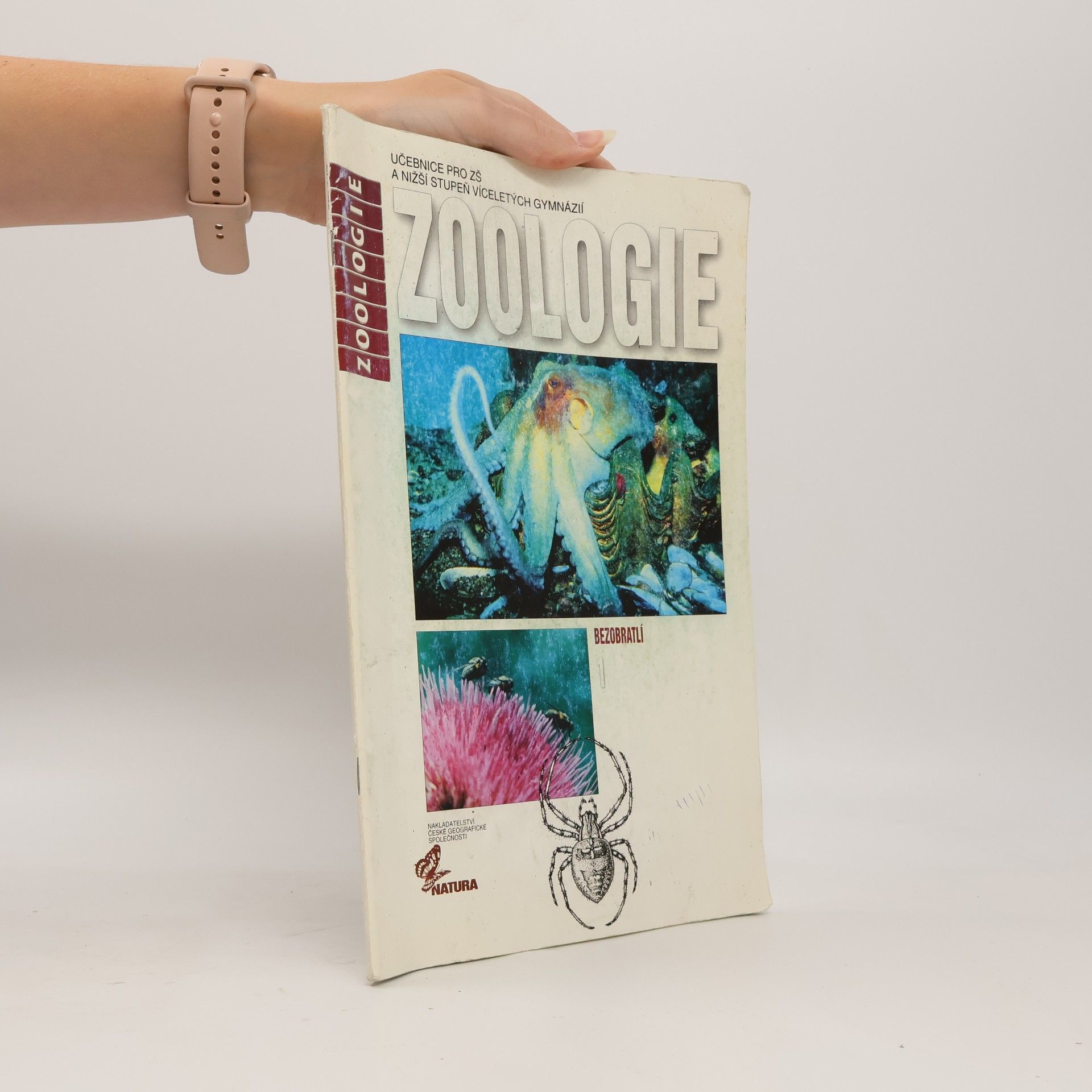 Autorenkollektiv Zoologie 1 Bezobratlí
