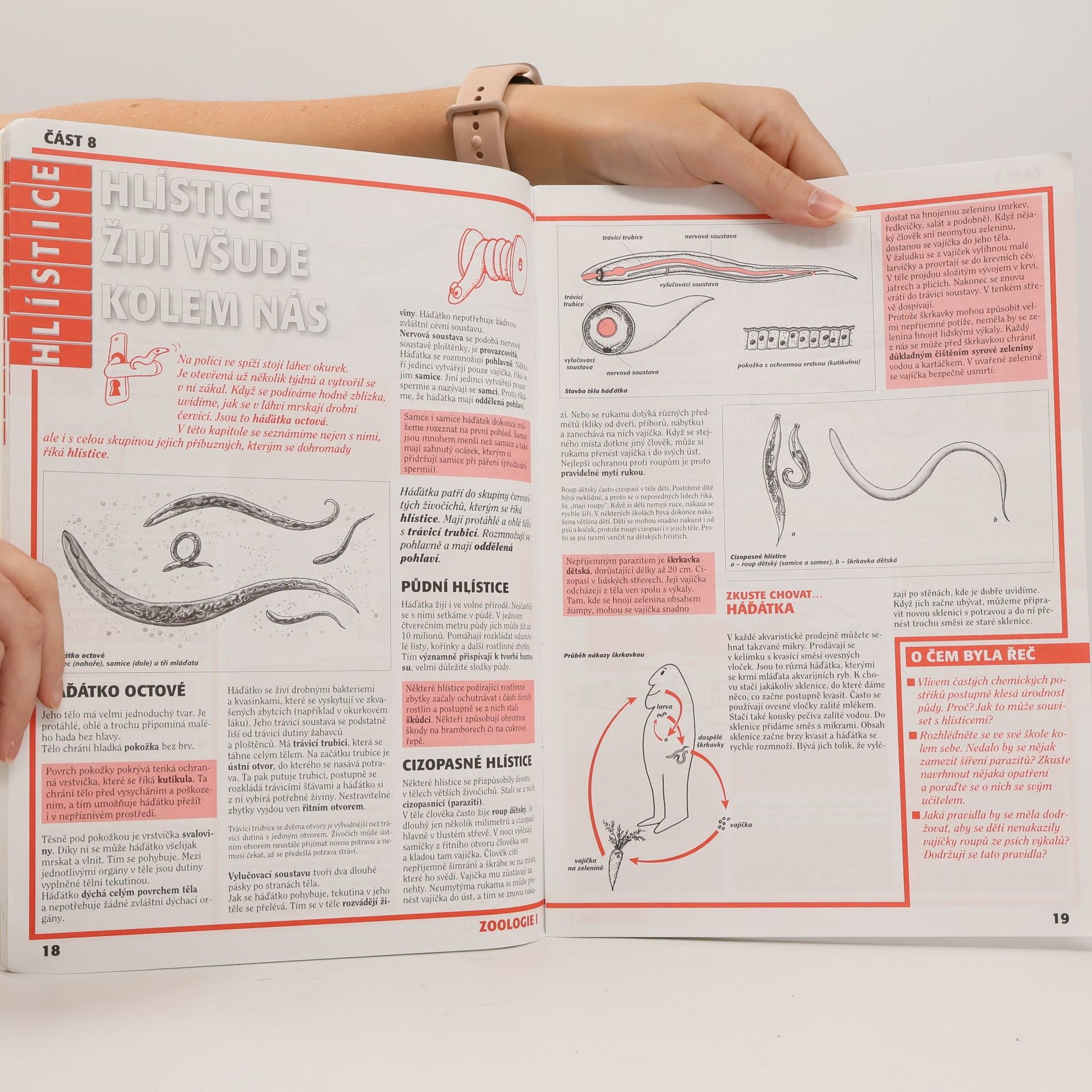 Autorenkollektiv Zoologie 1 Bezobratlí