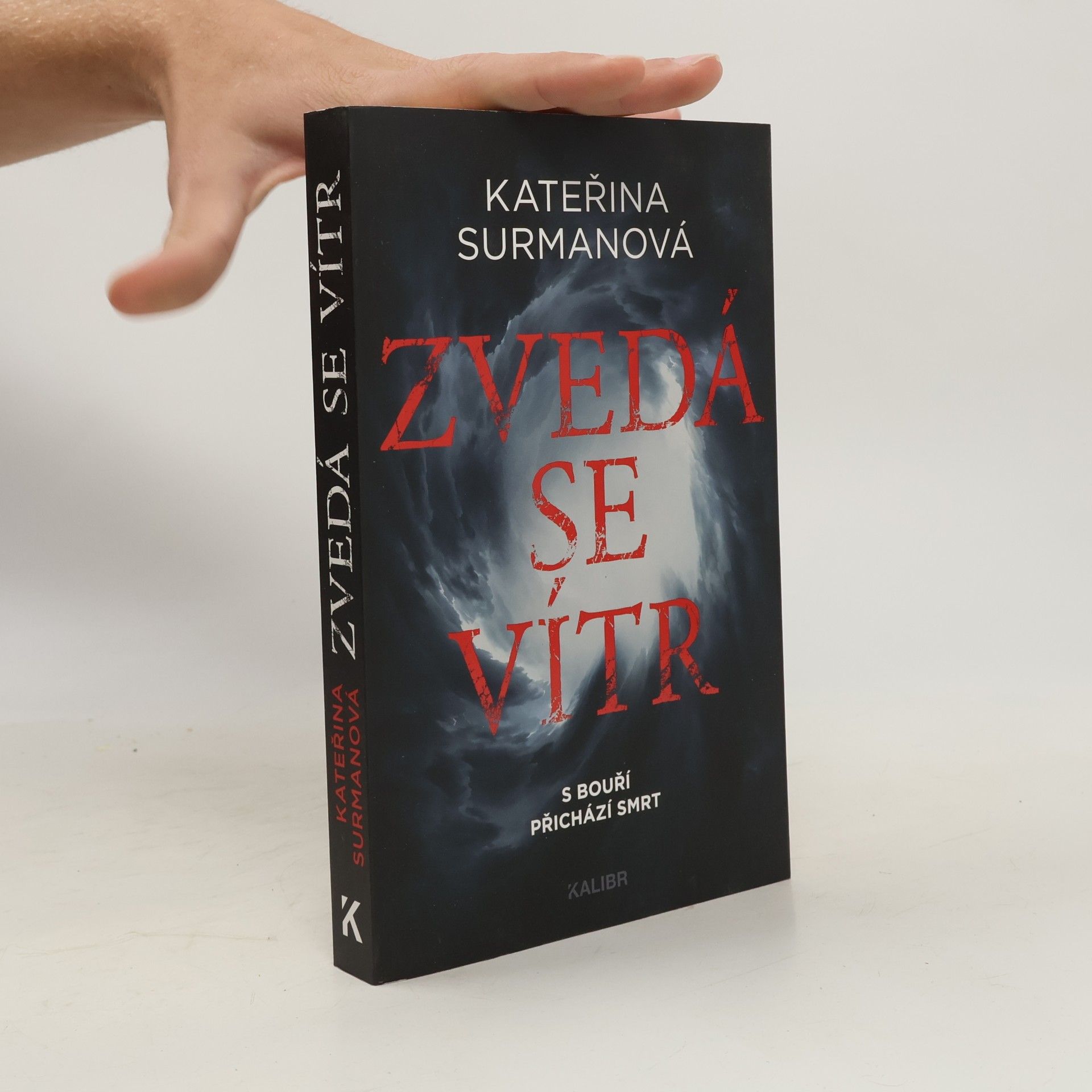 Kateřina Surmanová Zvedá se vítr