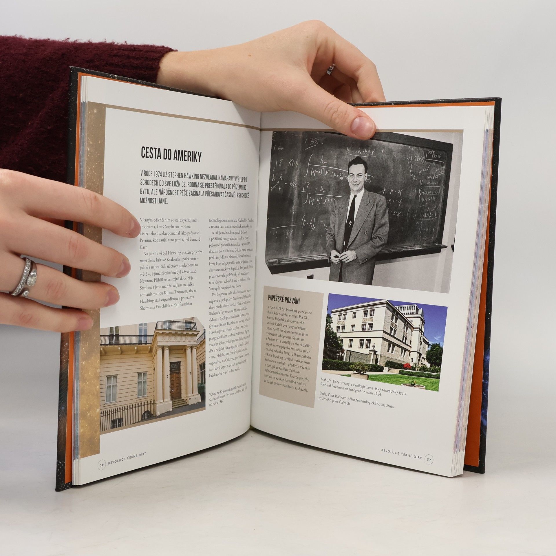 Joel Levy Hawking : člověk, génius a teorie všeho