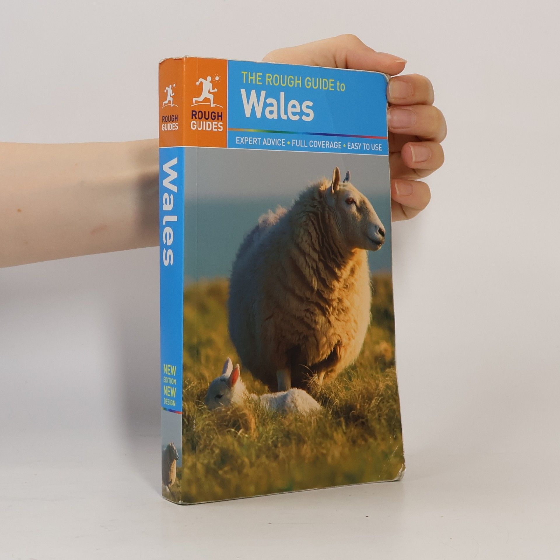 Catherine Le Nevez The Rough Guide to Wales