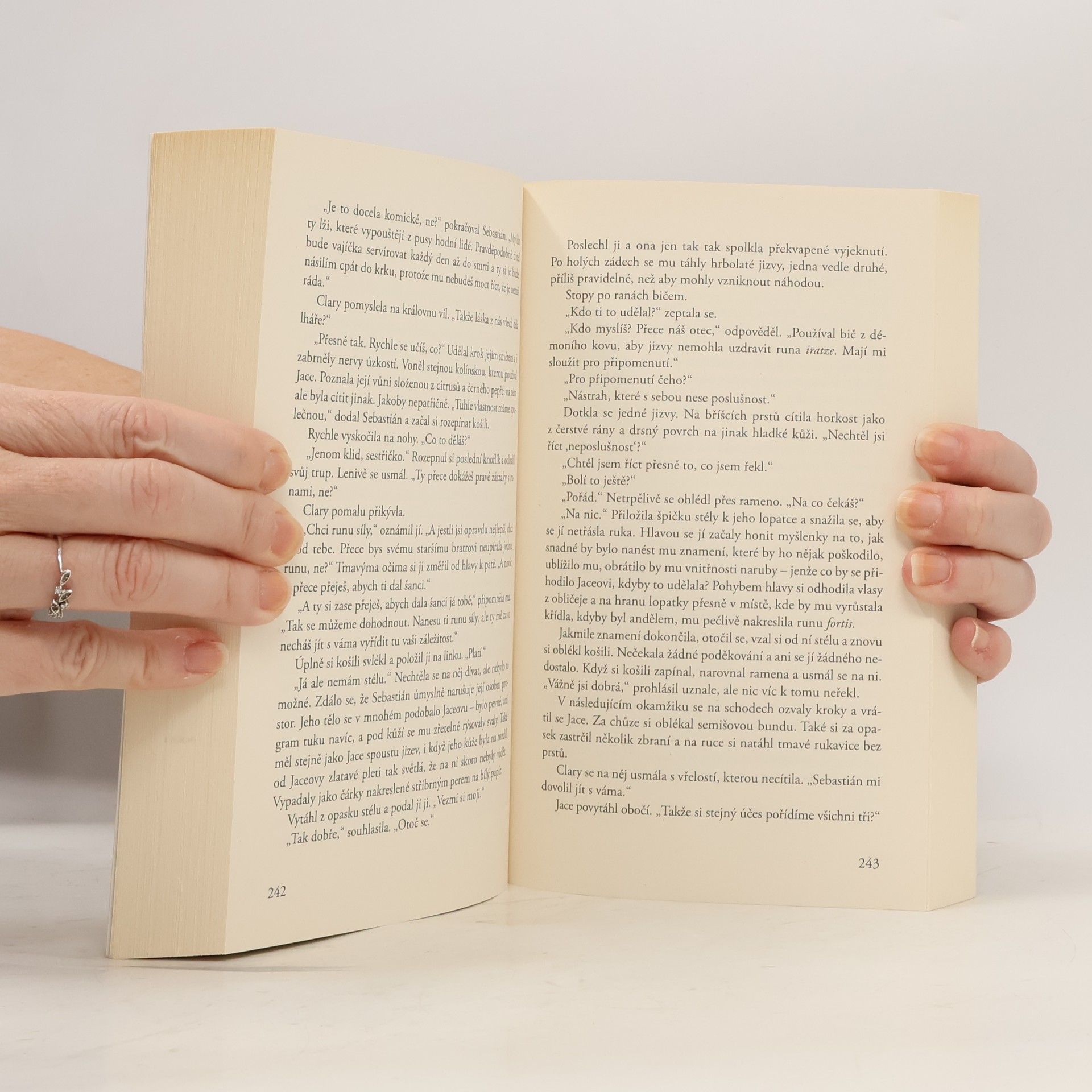 Cassandra Clare Nástroje smtri 5. Město ztracených duší