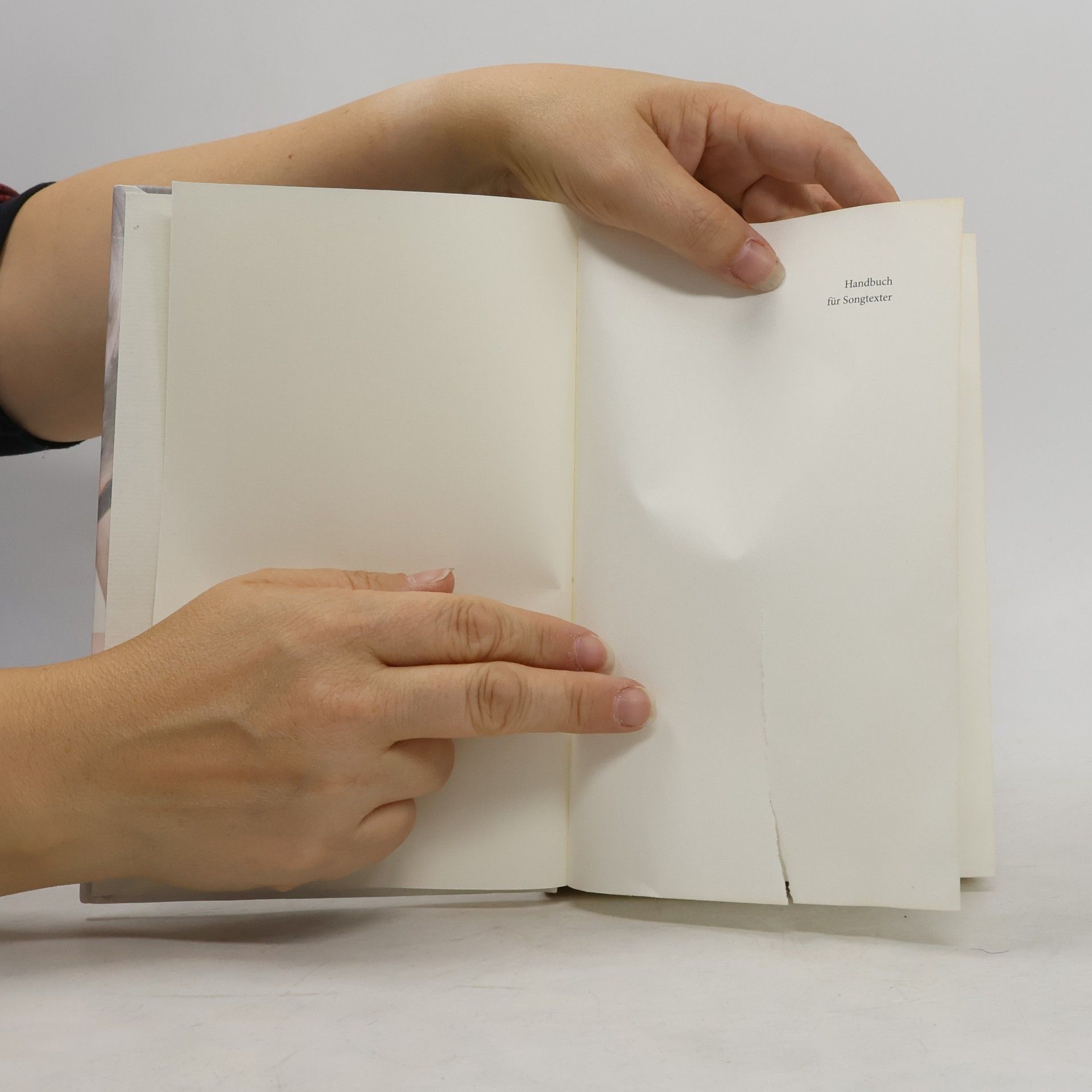 Edith Jeske Handbuch für Songtexter