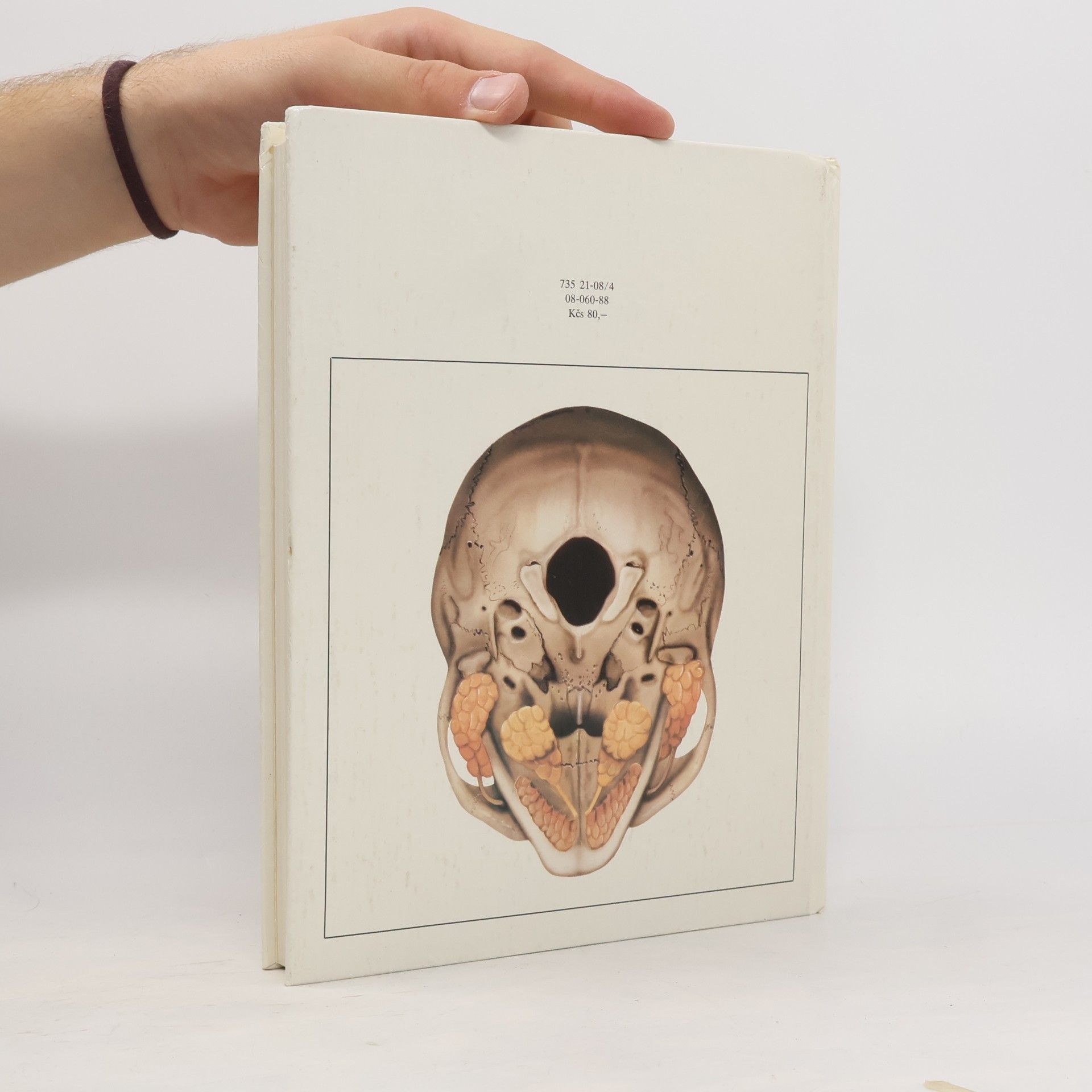 Radomír Čihák Anatomie 2