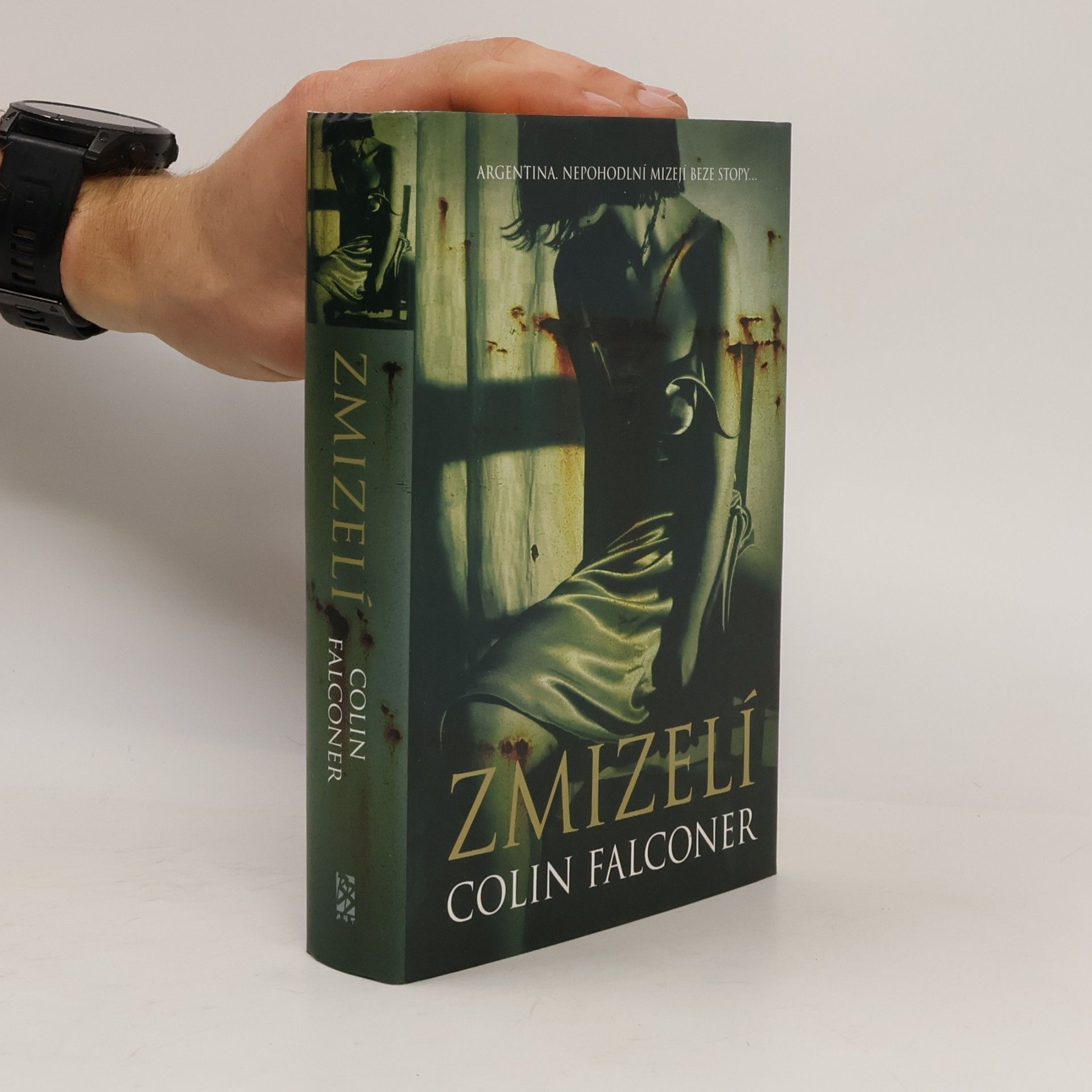 Colin Falconer Zmizelí
