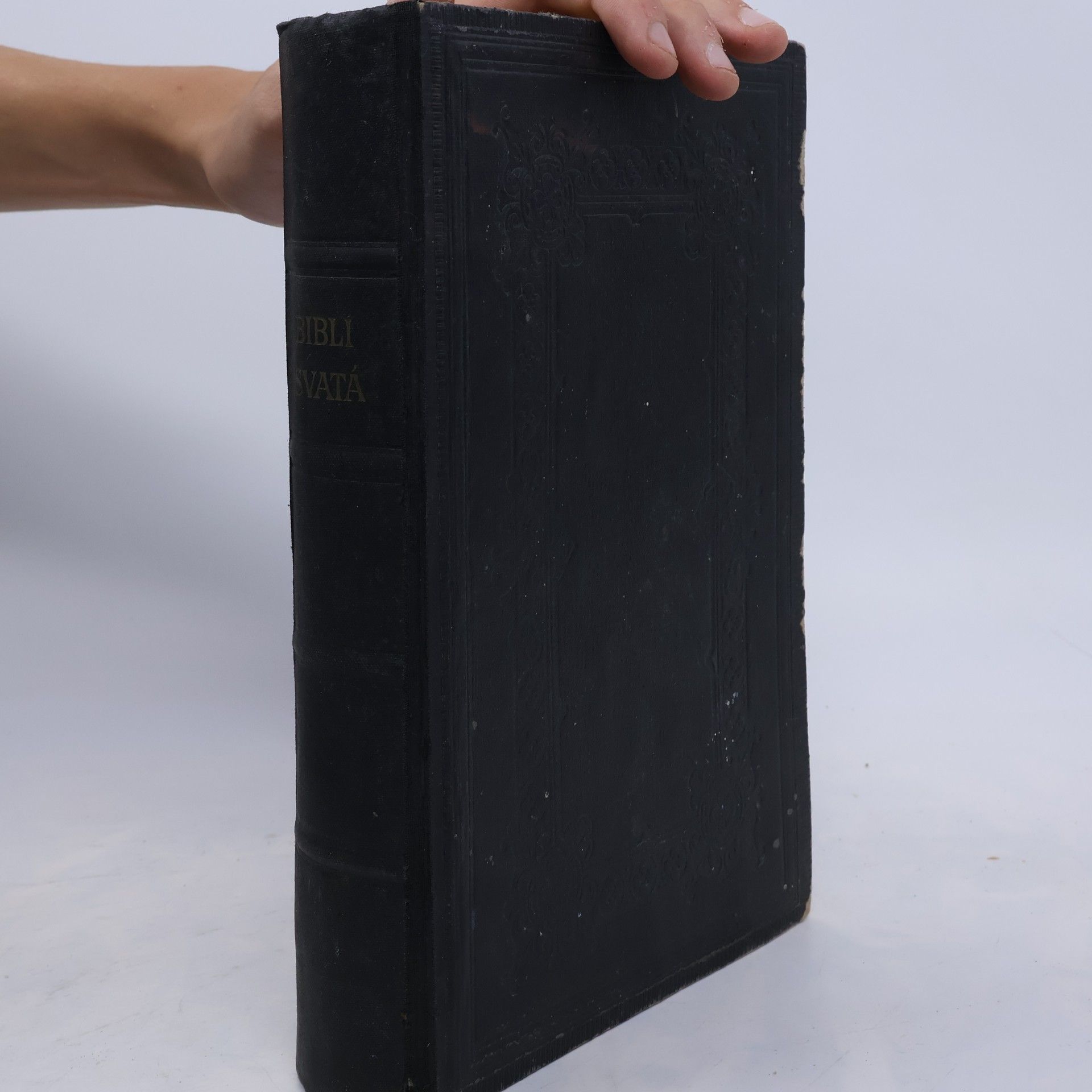 kolektiv Biblí svatá aneb všecka Svatá písma Starého i Nového zákona : Podle posledního vydání Kralického z roku 1613