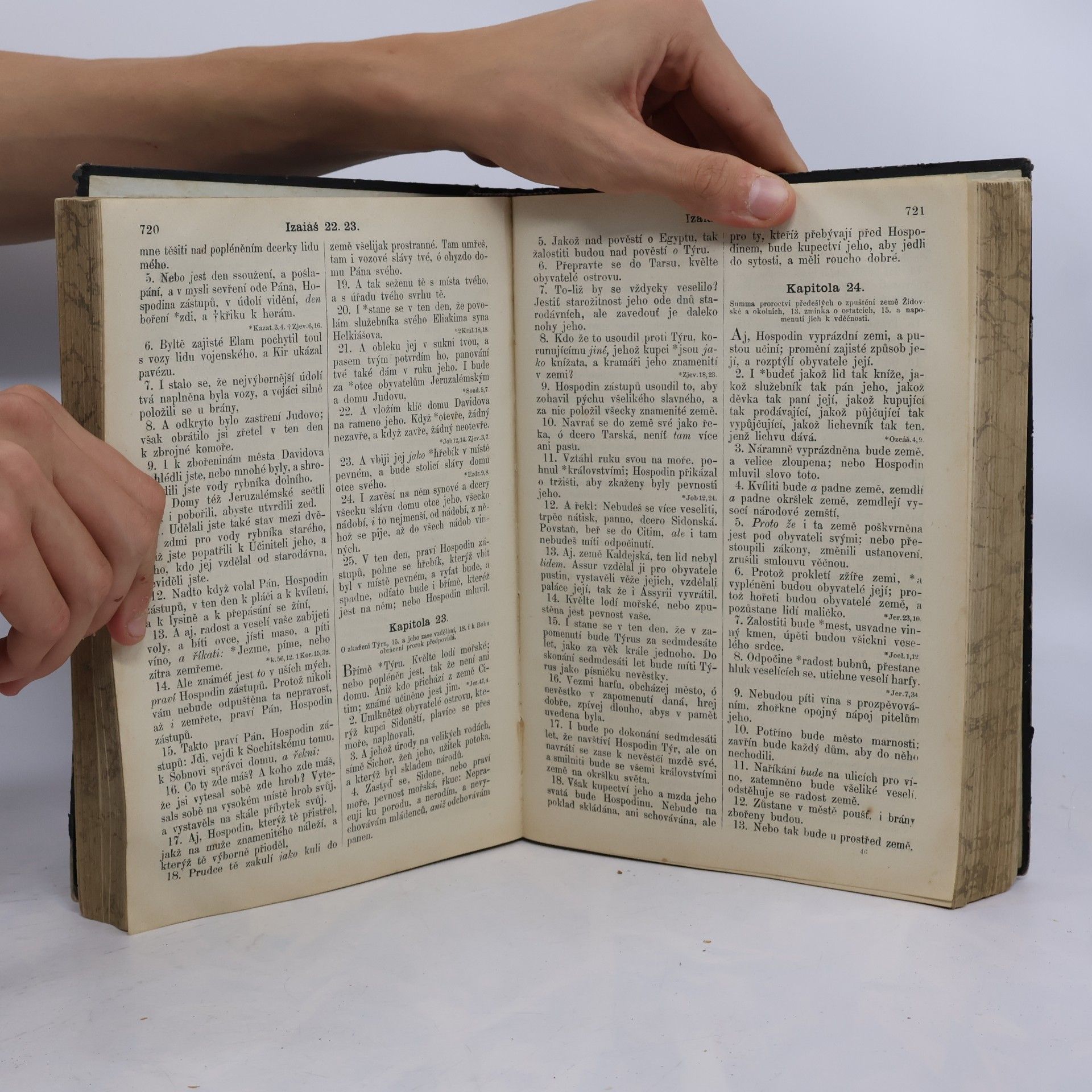 Various authors Biblí svatá aneb všecka Svatá písma Starého i Nového zákona : Podle posledního vydání Kralického z roku 1613