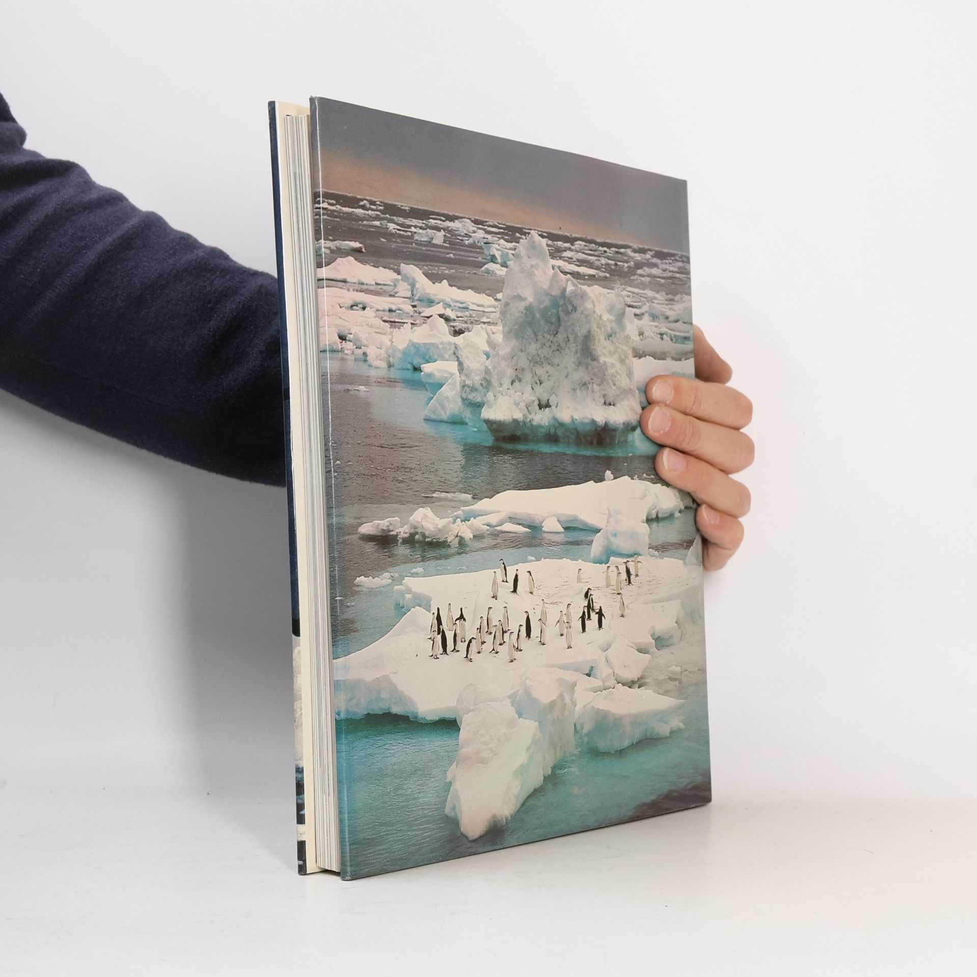 Creina Bond Antarctica