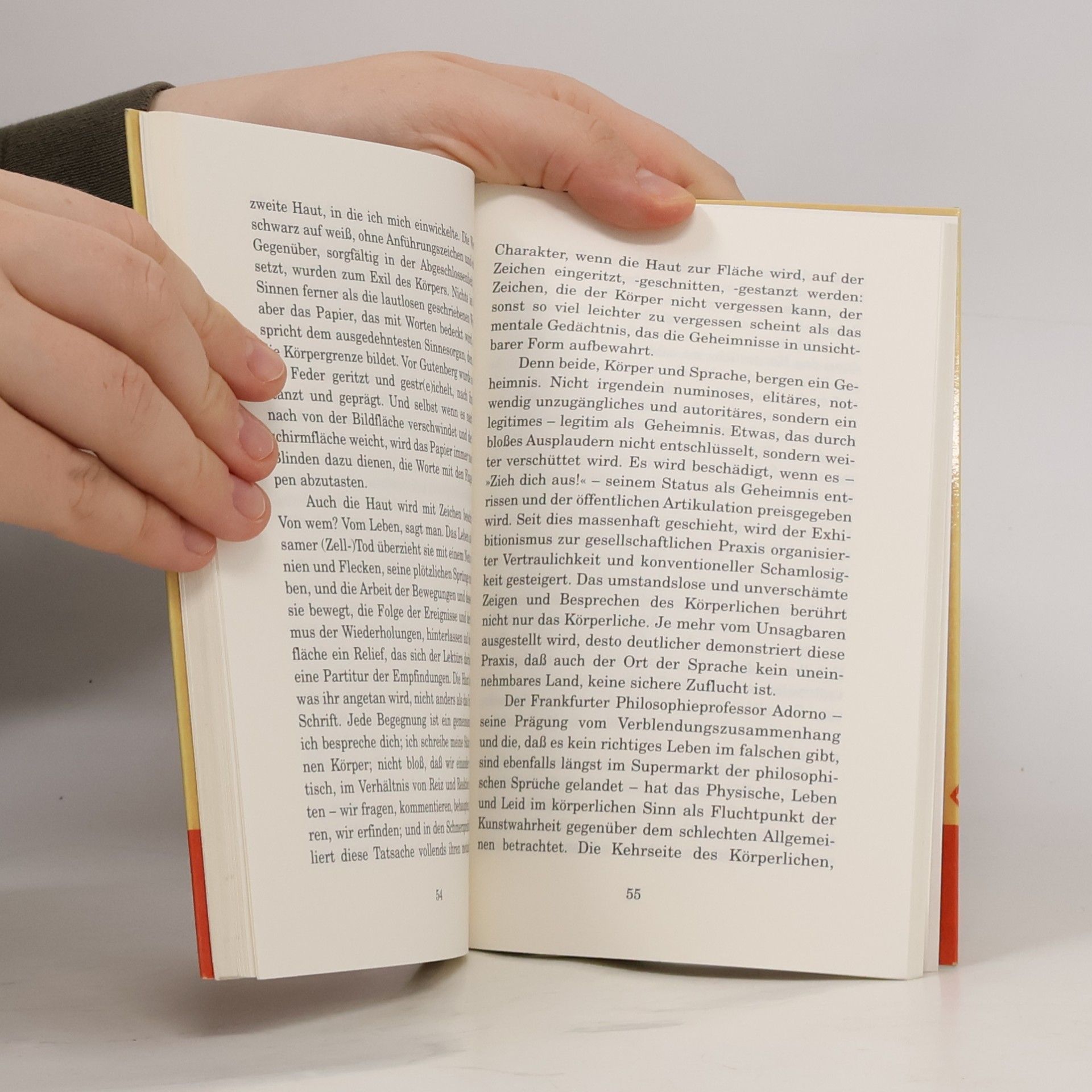 Dorothea Dieckmann Essay - 46: Sprachversagen