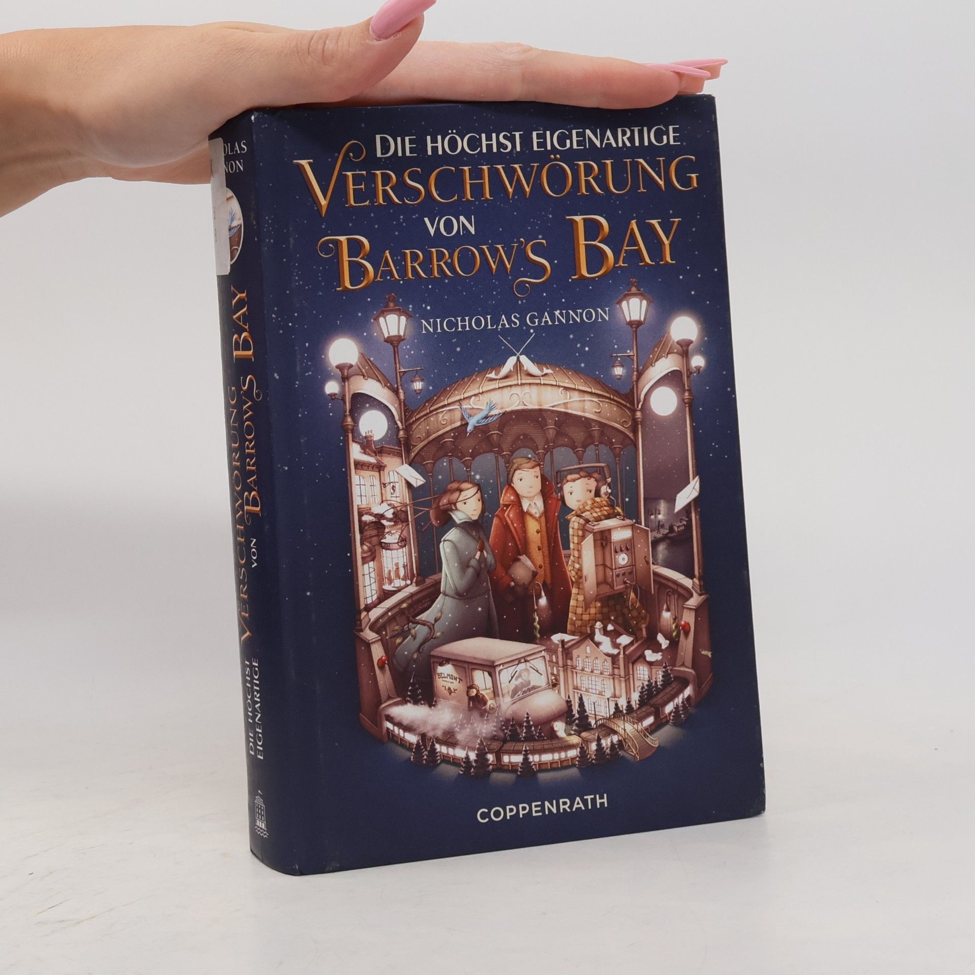 Nicholas Gannon Die höchst eigenartige Verschwörung von Barrow’s Bay