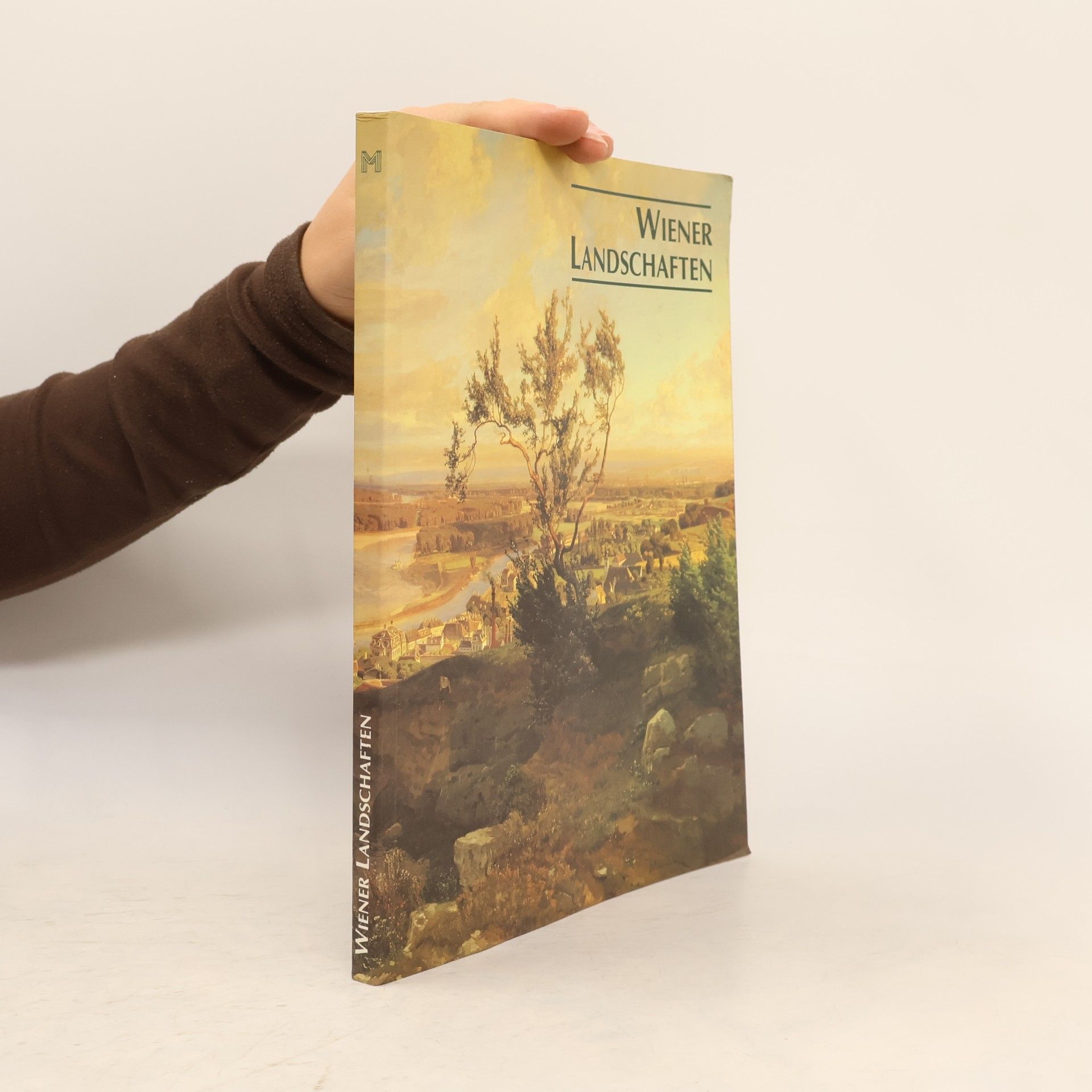 Kolektiv autorů Wiener Landschaften