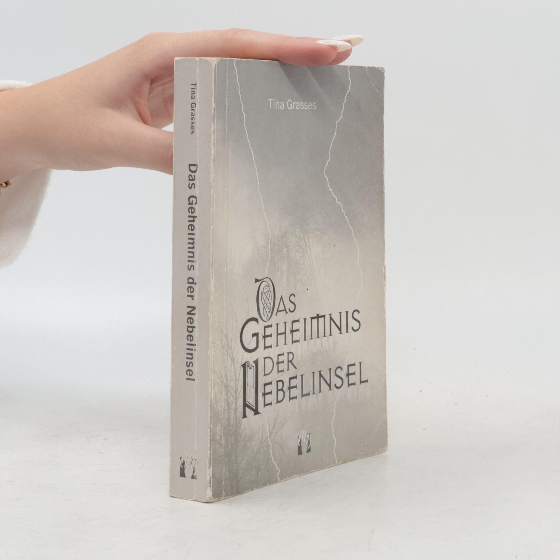 Tina Grasses Das Geheimnis der Nebelinsel