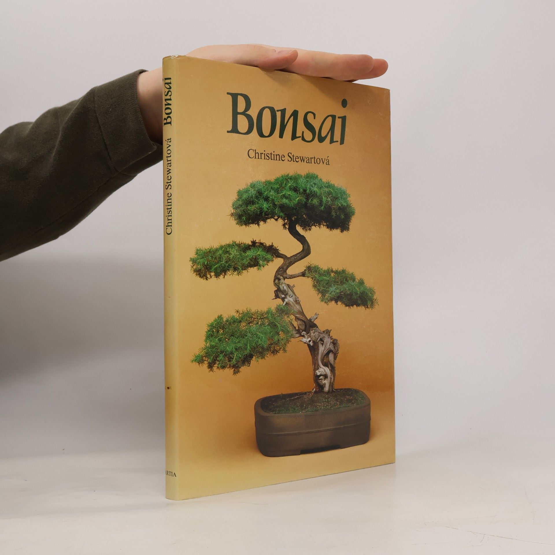 Christine Stewart Bonsai