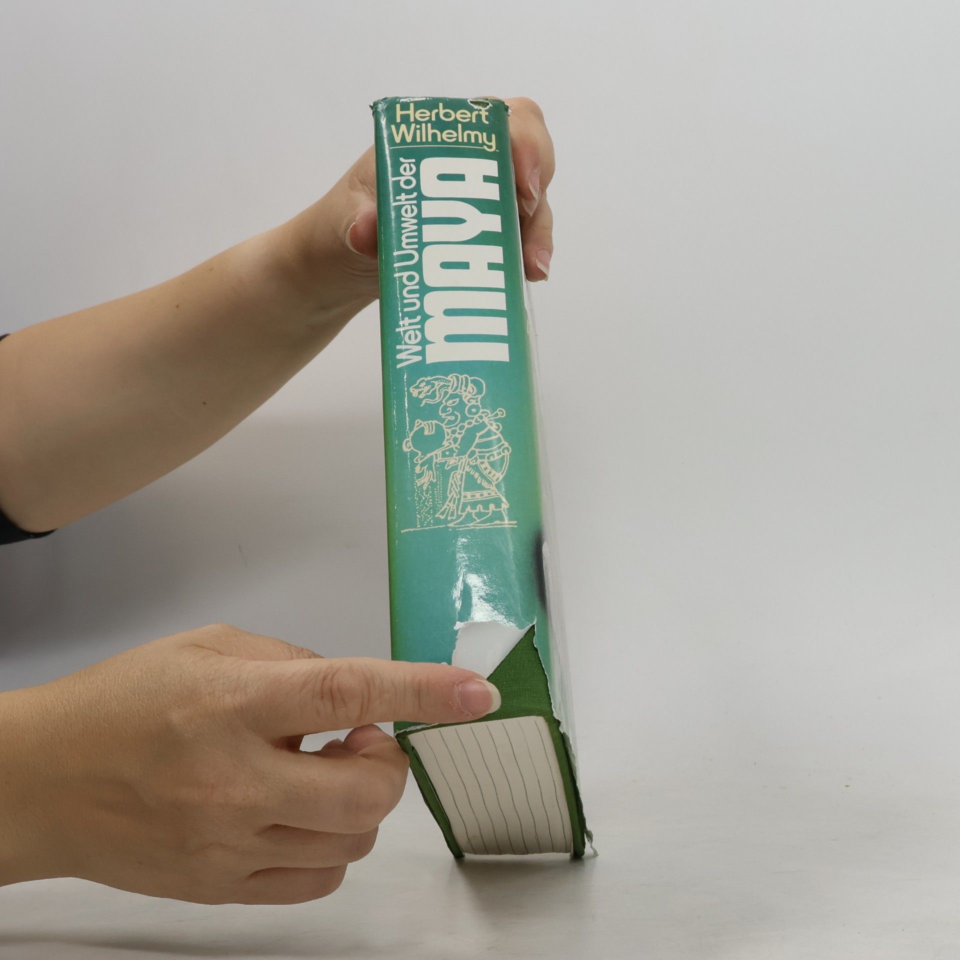 Herbert Wilhelmy Welt und Umwelt der Maya