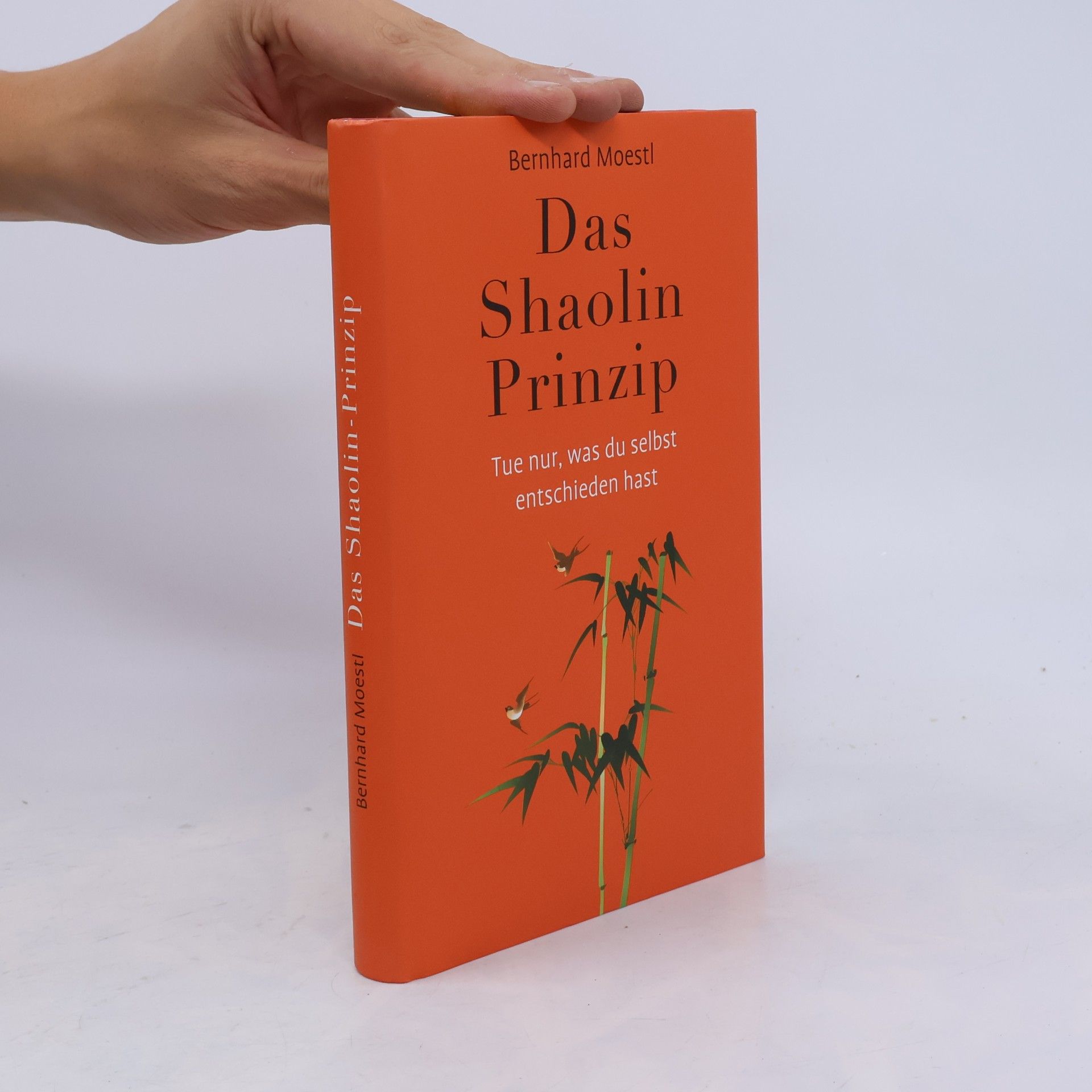 Das Shaolin Prinzip